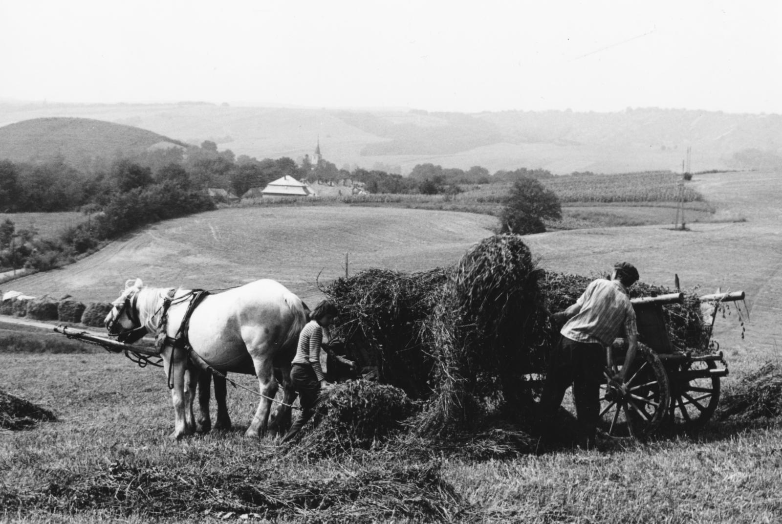 1971, Bordács Ferenc, Fortepan #237781