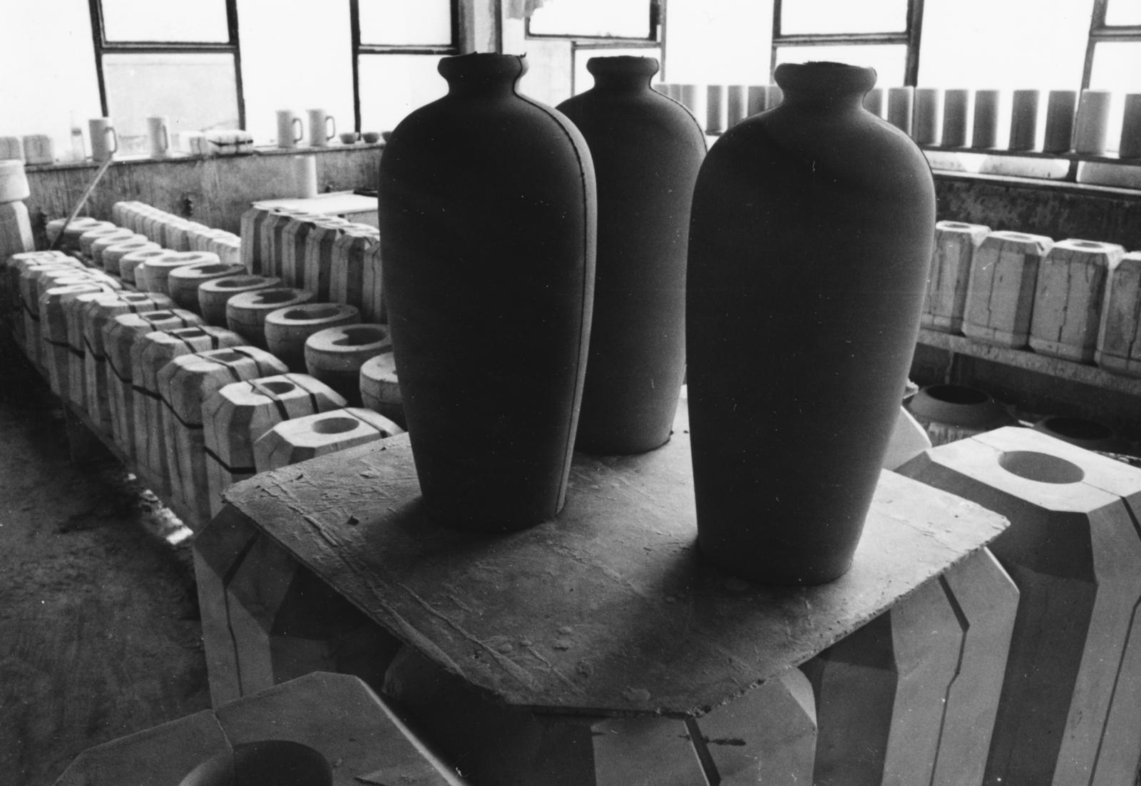 1971, Bordács Ferenc, Fortepan #237784