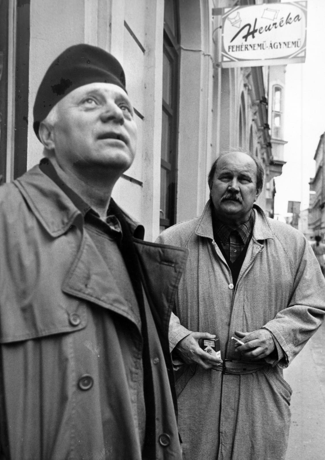 1981, Ódon Antikvárium, Kútvölgyi Mihály, Fortepan #237797