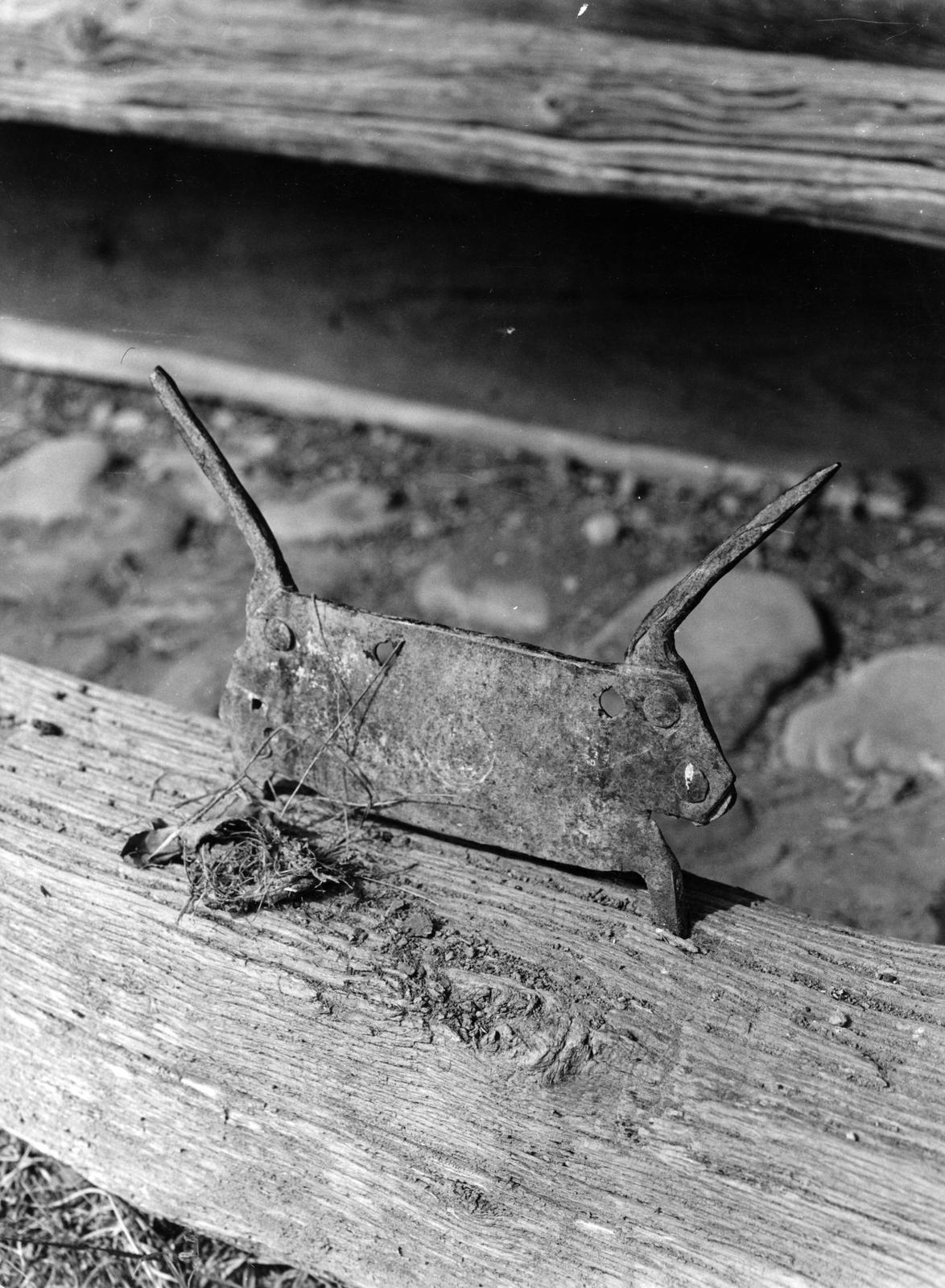 1974, Ódon Antikvárium, Kútvölgyi Mihály, Fortepan #237801