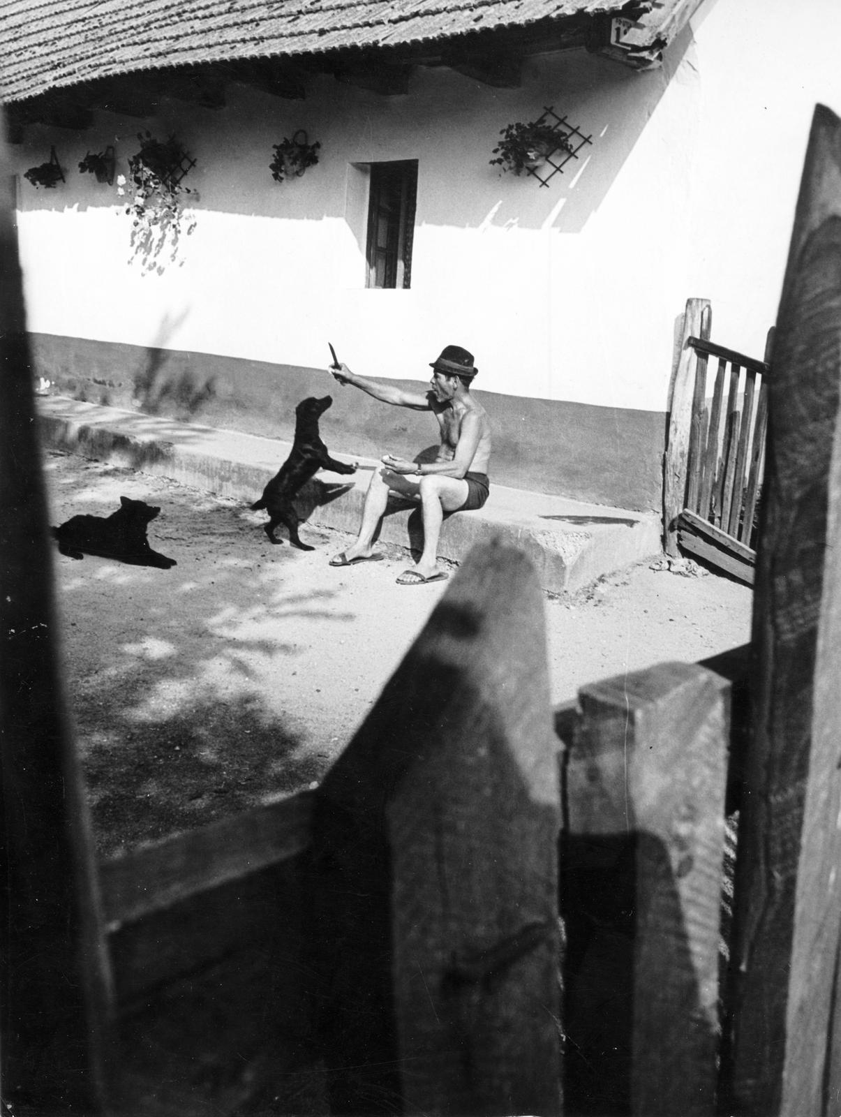 1974, Ódon Antikvárium, Kútvölgyi Mihály, Best of, Fortepan #237807