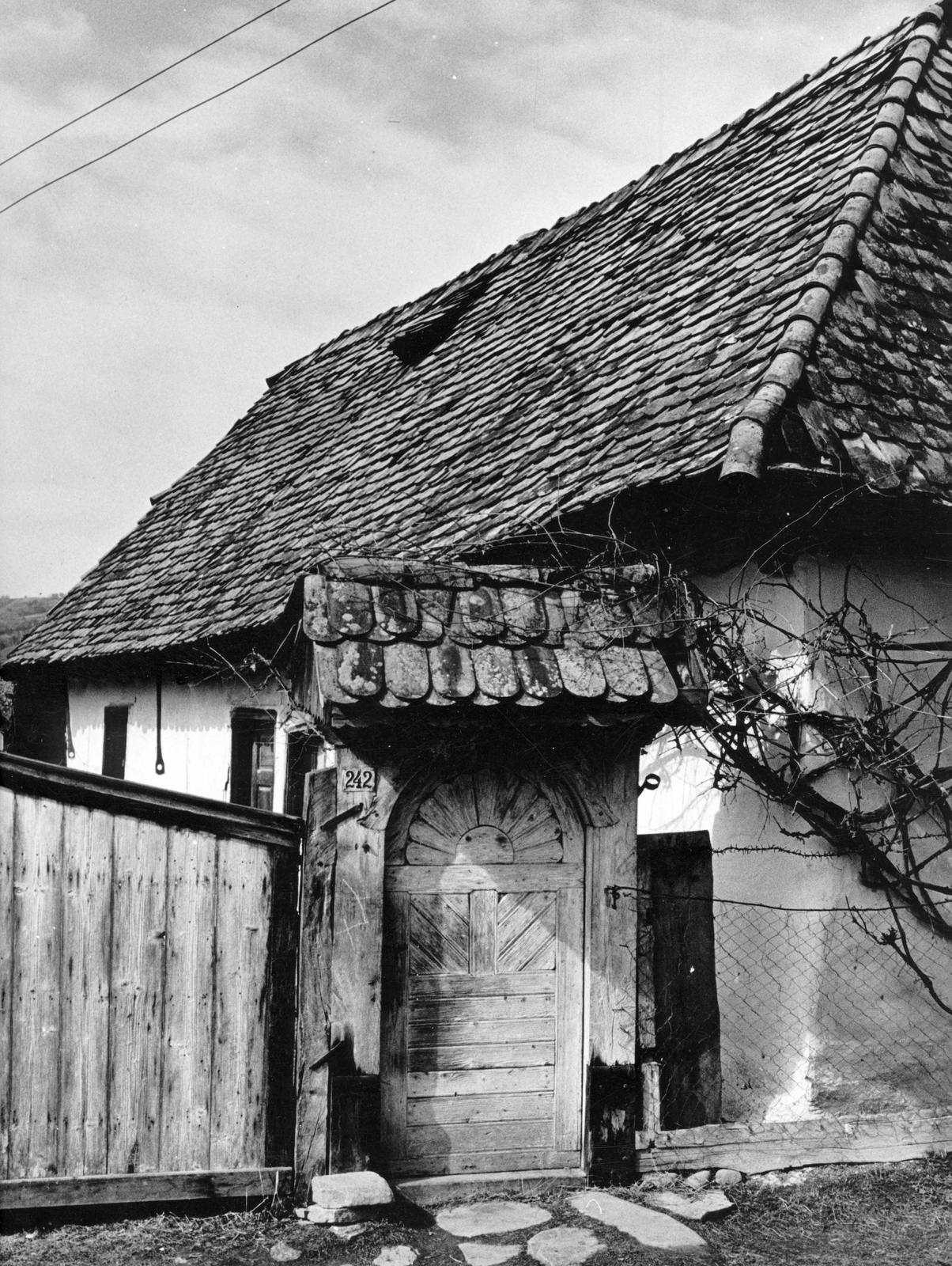 1974, Ódon Antikvárium, Kútvölgyi Mihály, Fortepan #237809