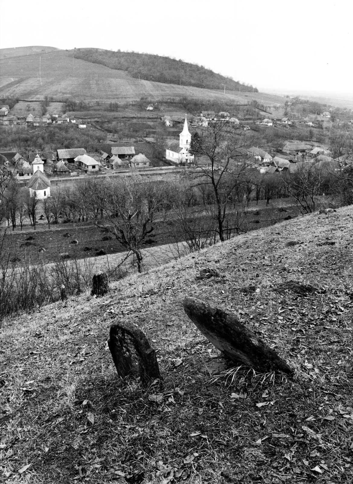 1974, Ódon Antikvárium, Kútvölgyi Mihály, Fortepan #237817