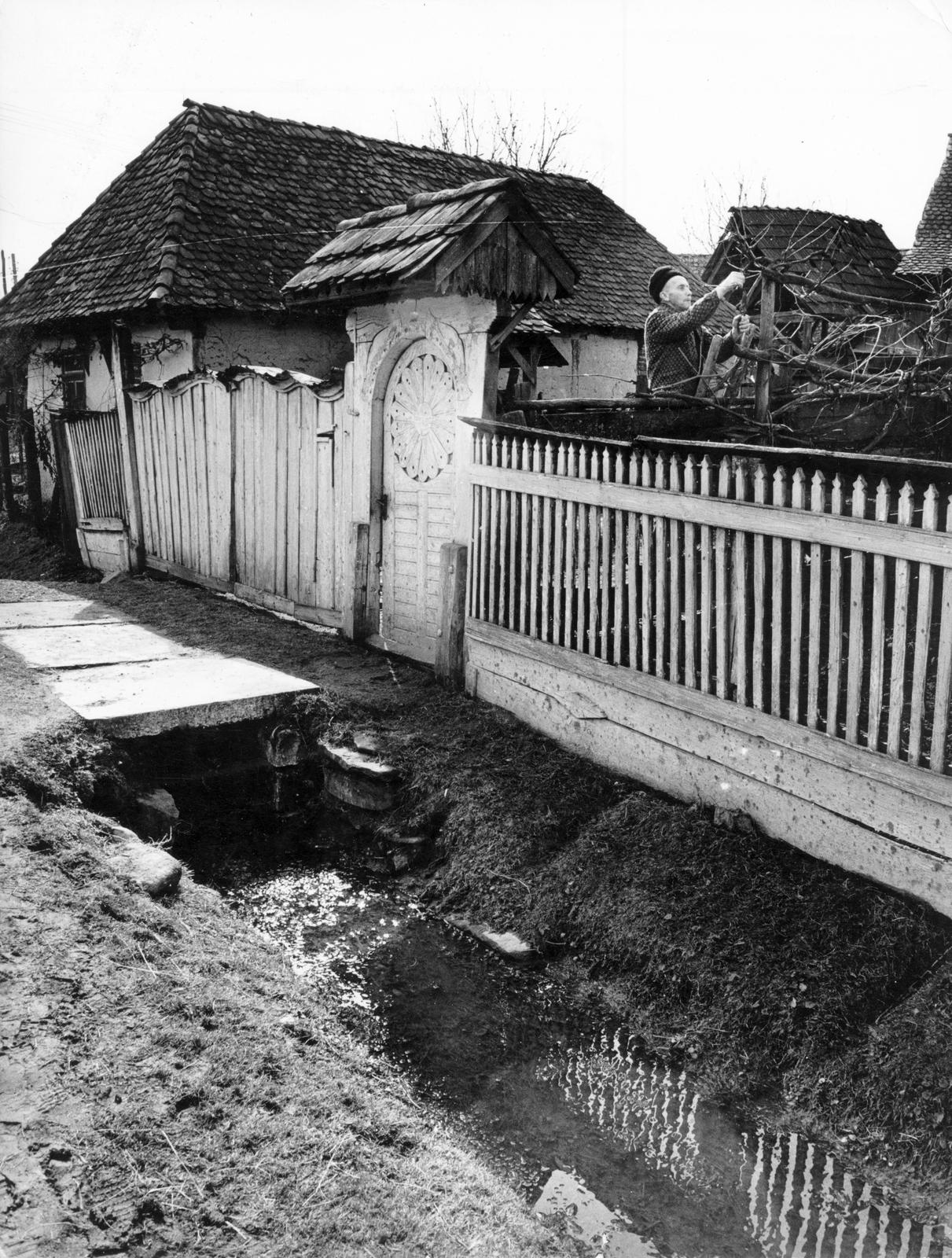 1974, Ódon Antikvárium, Kútvölgyi Mihály, Fortepan #237818