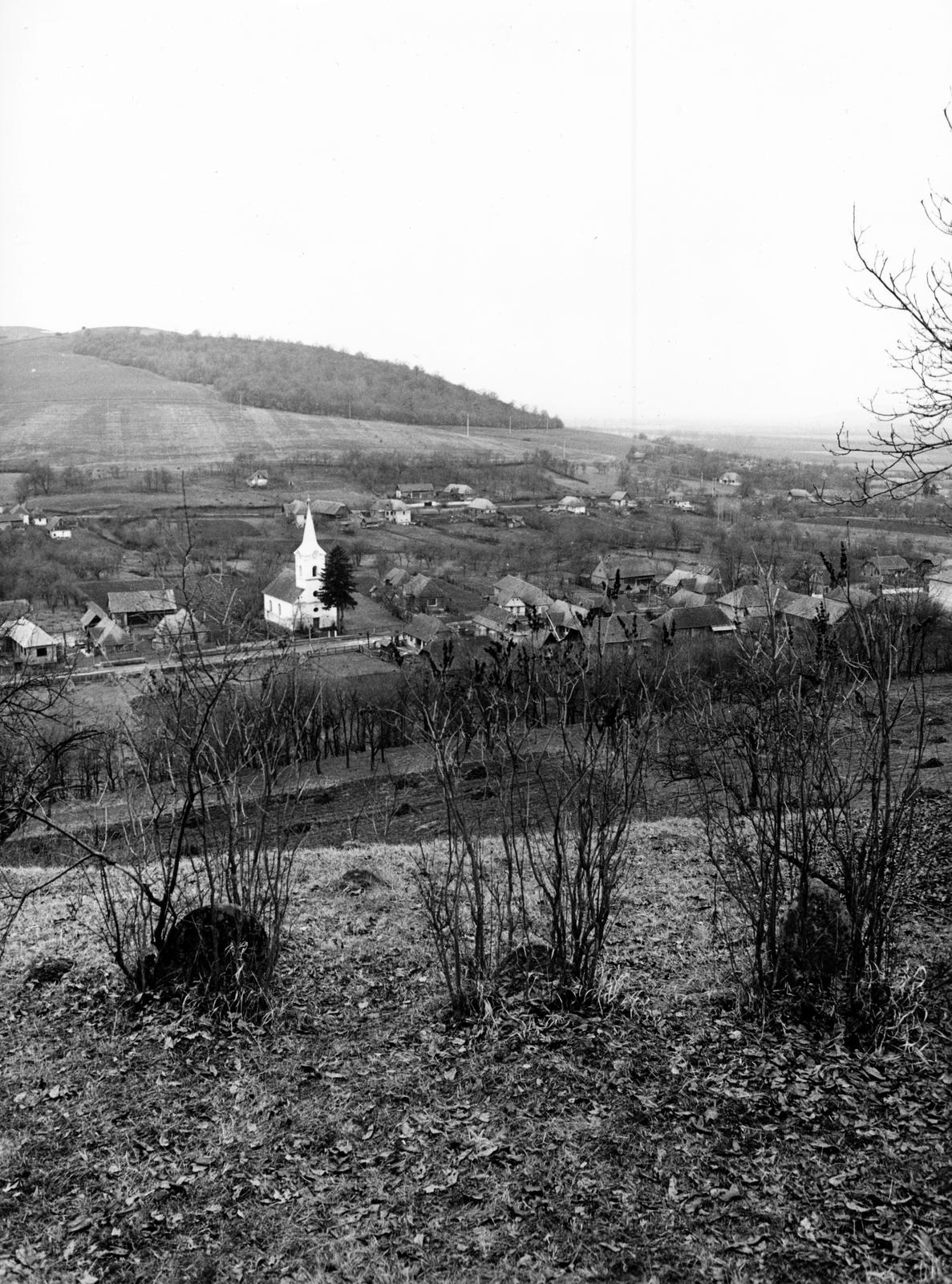 1975, Kútvölgyi Mihály, Fortepan #237820