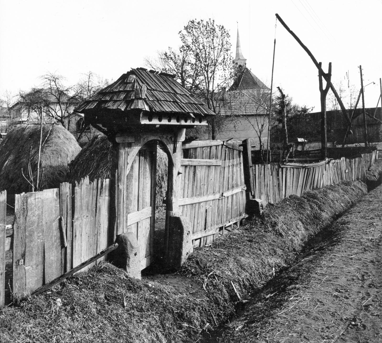 1975, Kútvölgyi Mihály, Fortepan #237822