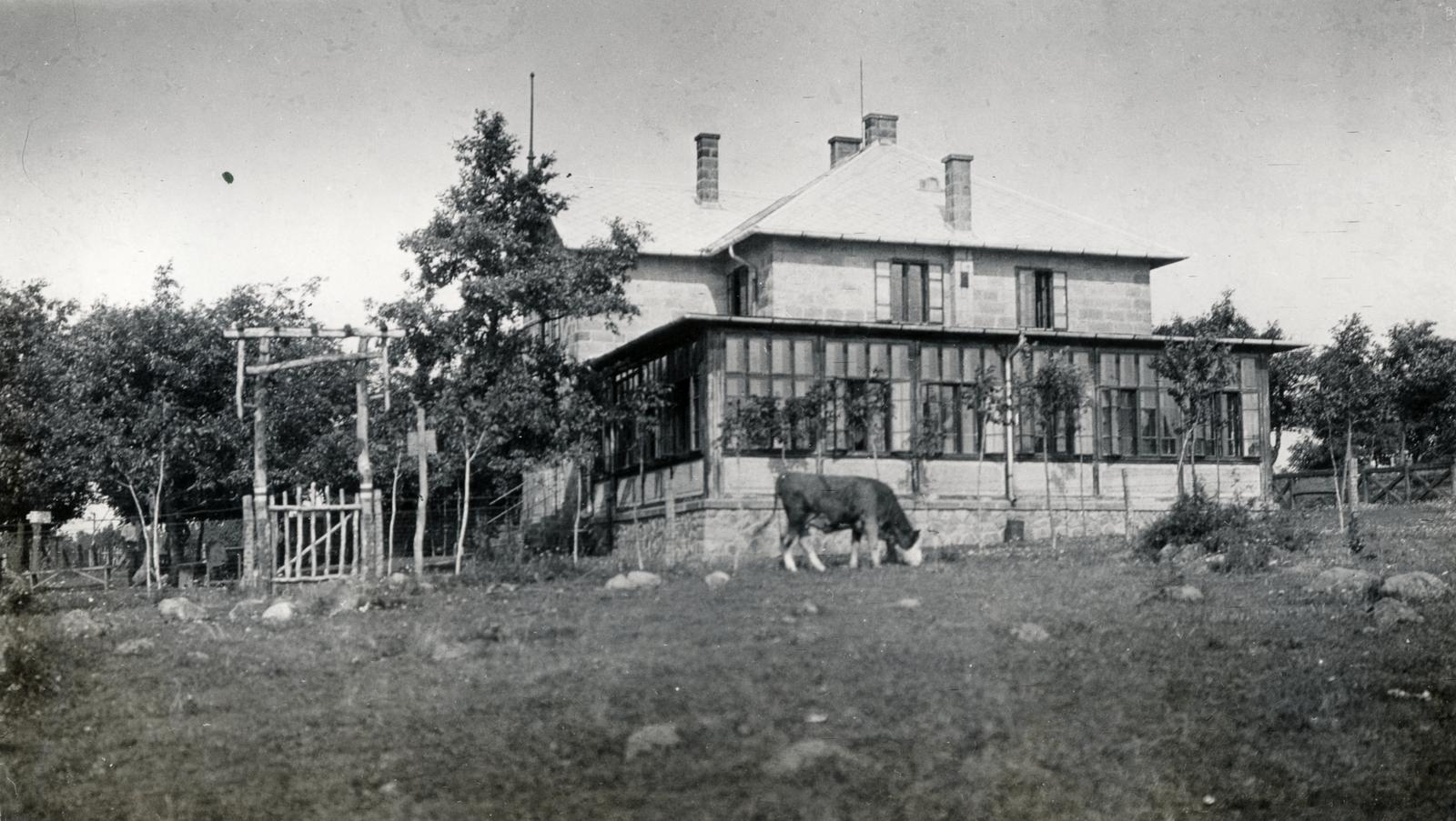 1926, Subai Géza, Fortepan #238330