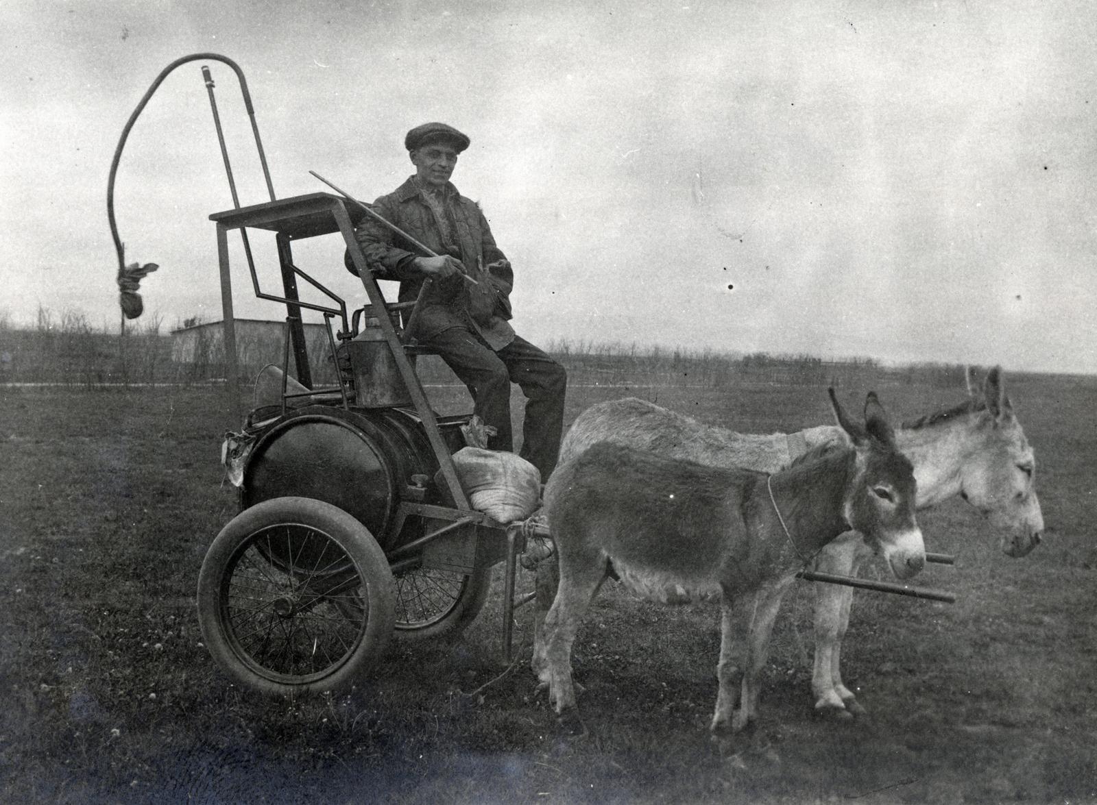 1925, Subai Géza, Fortepan #238423