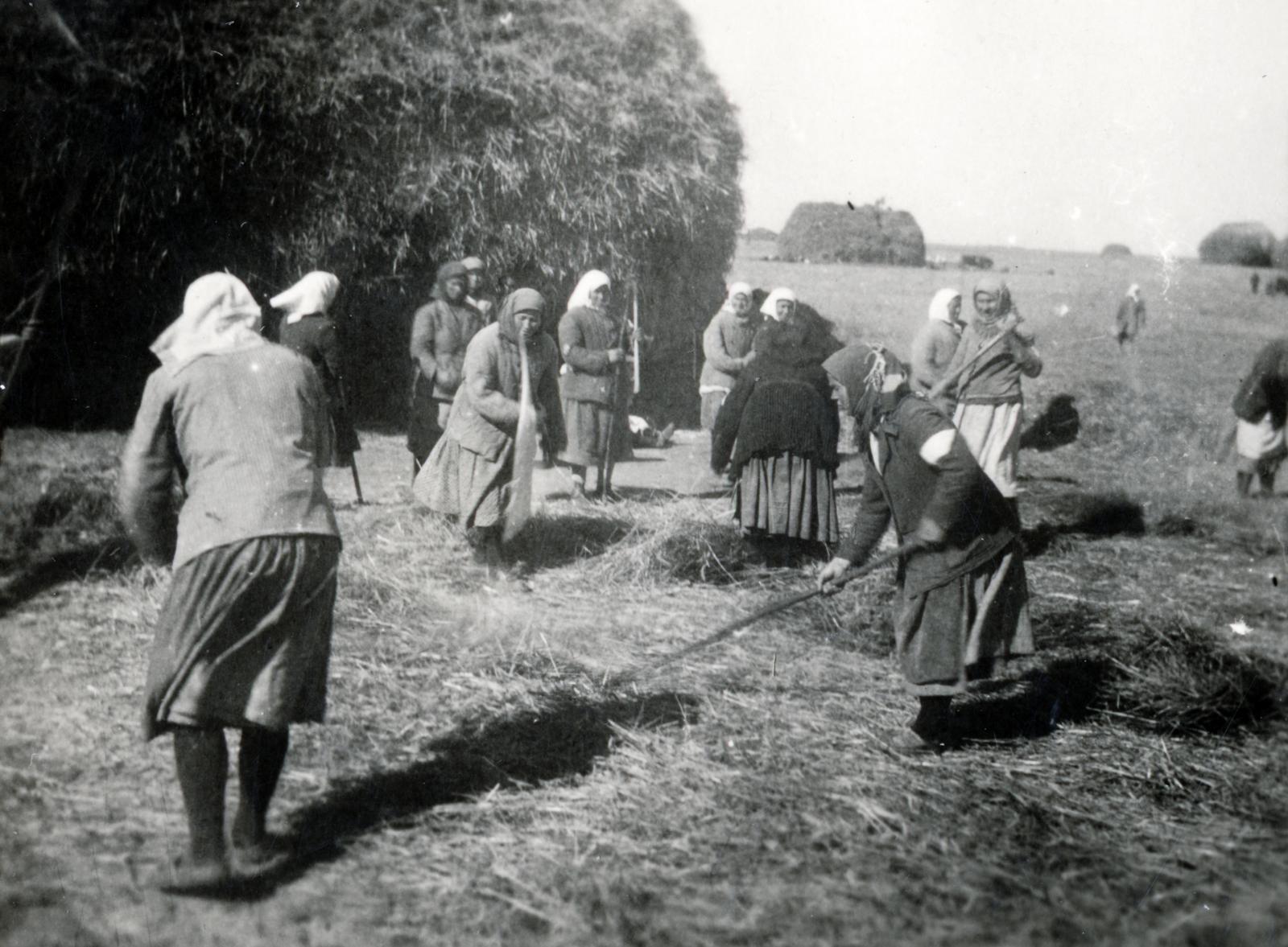 1942, Martin Ferenc, Fortepan #238459