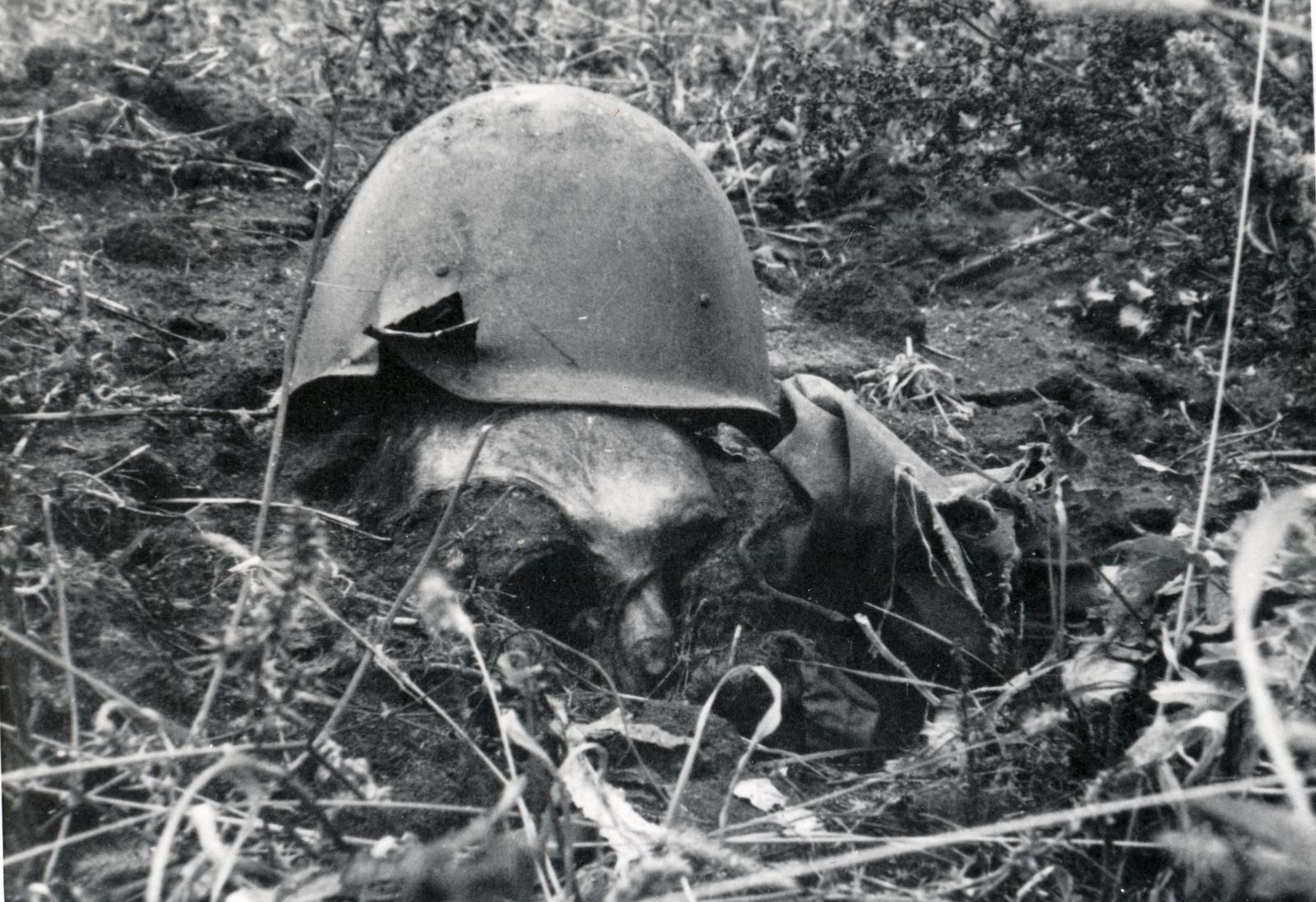 1942, Martin Ferenc, Fortepan #238484