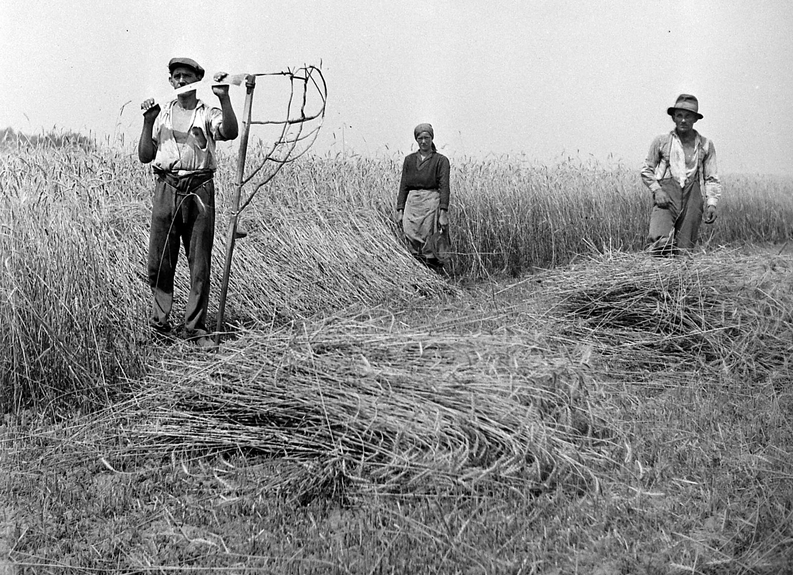 Magyarország, Kézi kaszás aratás, a kalászokat marokszedő gyűjti., 1932, Fortepan, csoportkép, mezőgazdaság, aratás, kasza, kihalt mesterség, Fortepan #2406