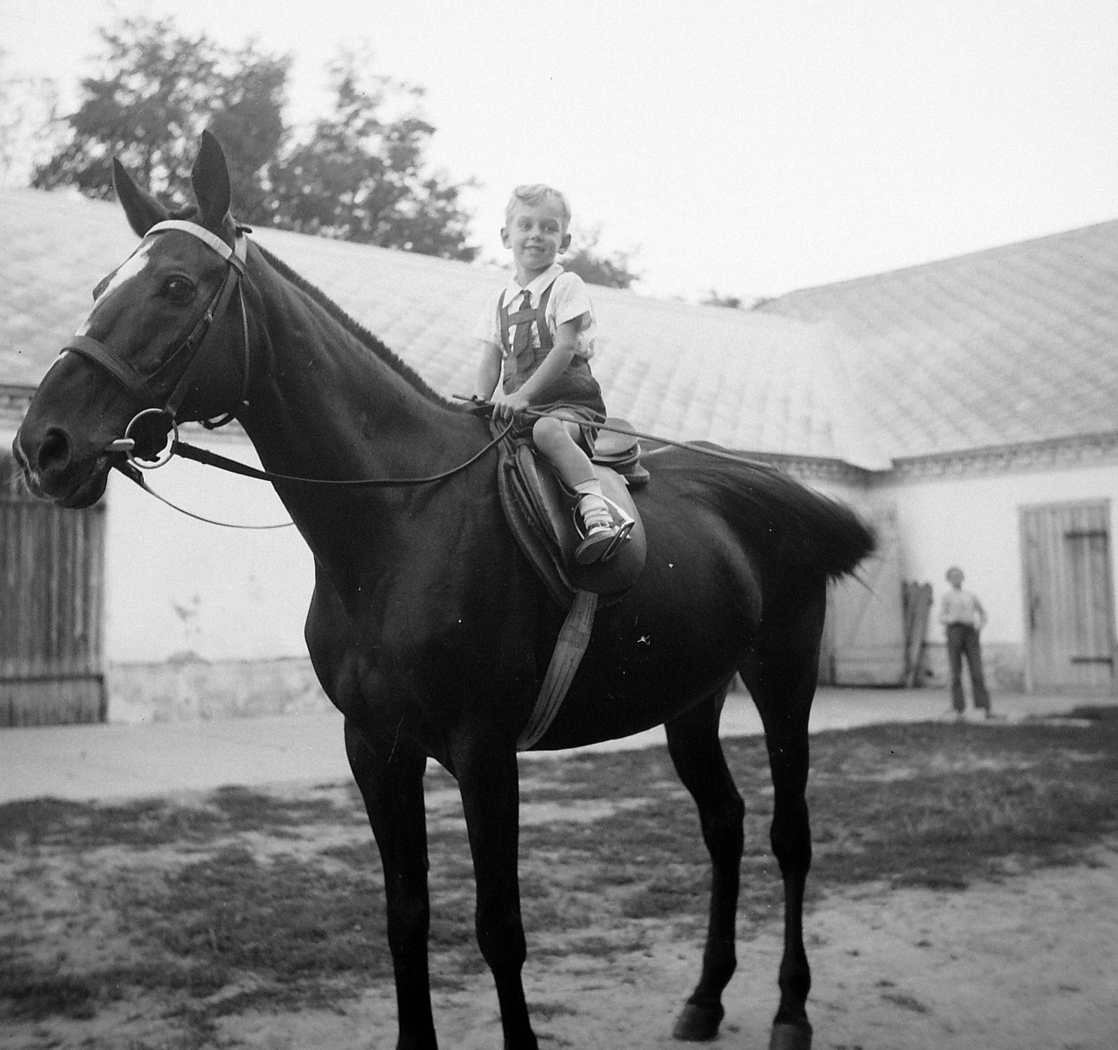 1935, Fortepan, portrait, horse, yard, kid, rider, stable, Fortepan #2418