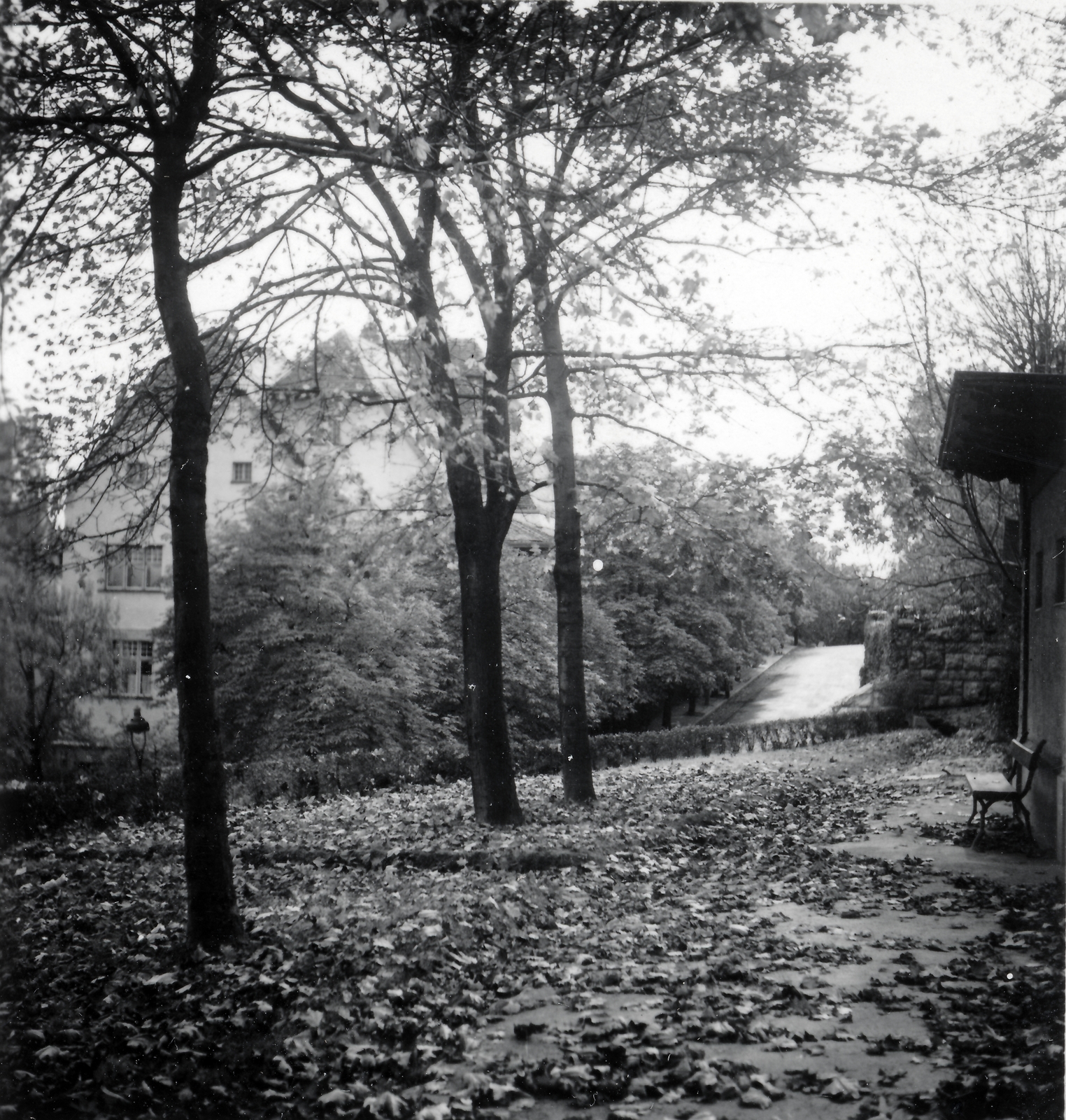 Magyarország, Budapest XI., Kemenes utca 14., Rosenfeld villa (Vidor Emil, 1909) a Gellért Gyógyfürdő fölött, a Kelenhegyi út sarkánál., 1936, Lőrincze Judit, ősz, Budapest, Fortepan #24543