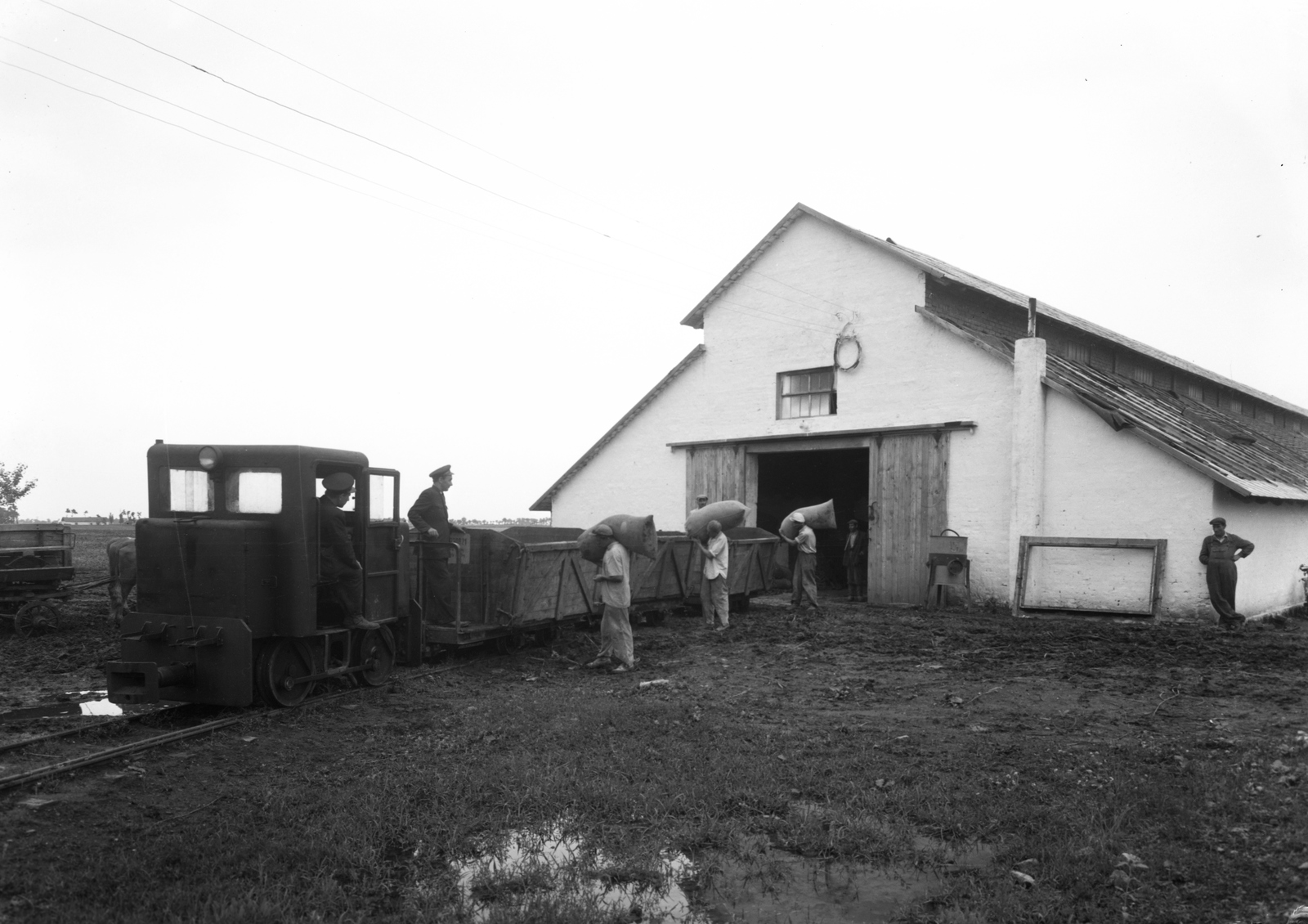 Magyarország, 1956, UVATERV, vasút, magyar gyártmány, dízelmozdony, kisvasút, B-26 mozdony, Szállítóberendezések Gyára, Gazdasági Vasutak R lóré, Fortepan #2465