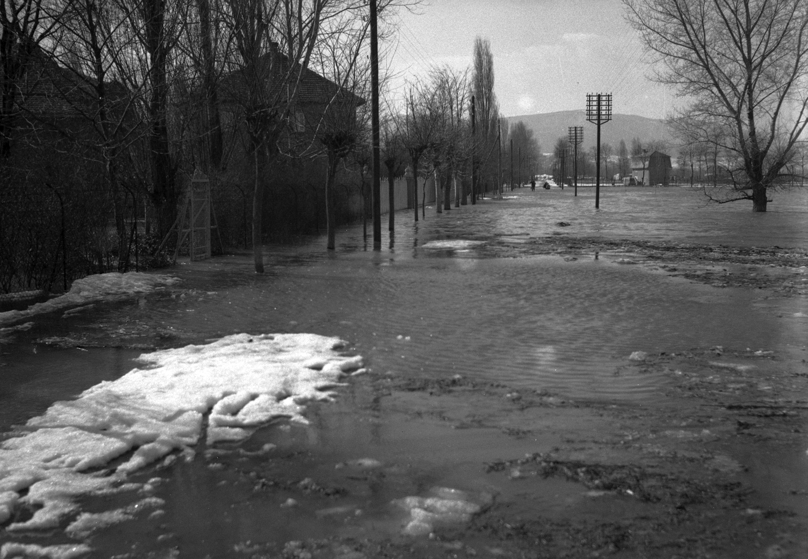 Hungary, Göd, Fesőgöd (ekkor önálló, ma a város része), a Duna út a Vadvirág utcától a Duna felé nézve., 1940, Vass Károly, flood, Fortepan #24752