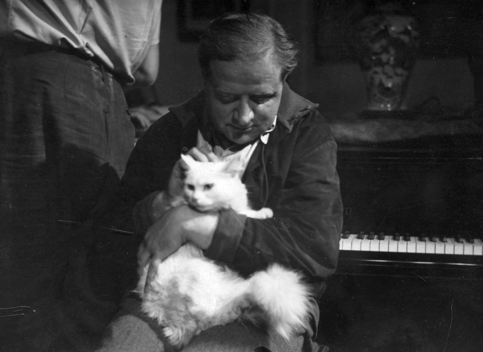 1940, Vass Károly, cat, Fortepan #24762