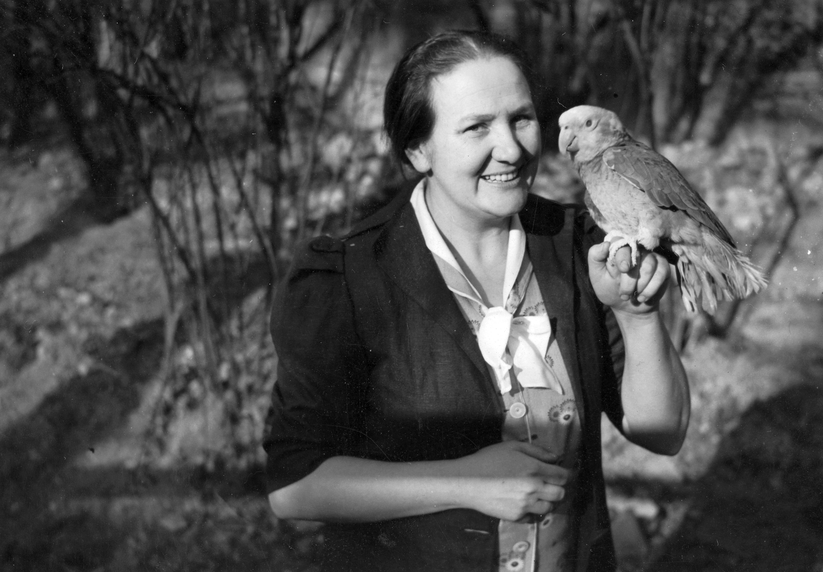 1940, Vass Károly, parrot, bird, Fortepan #24765
