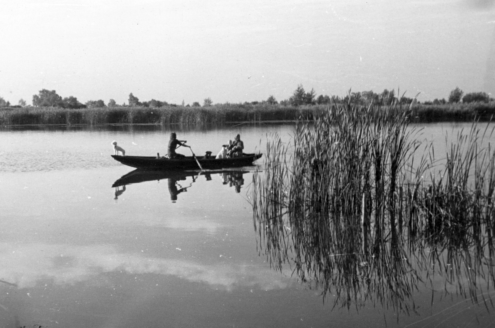 1943, Zombory György, paddling, Fortepan #24855