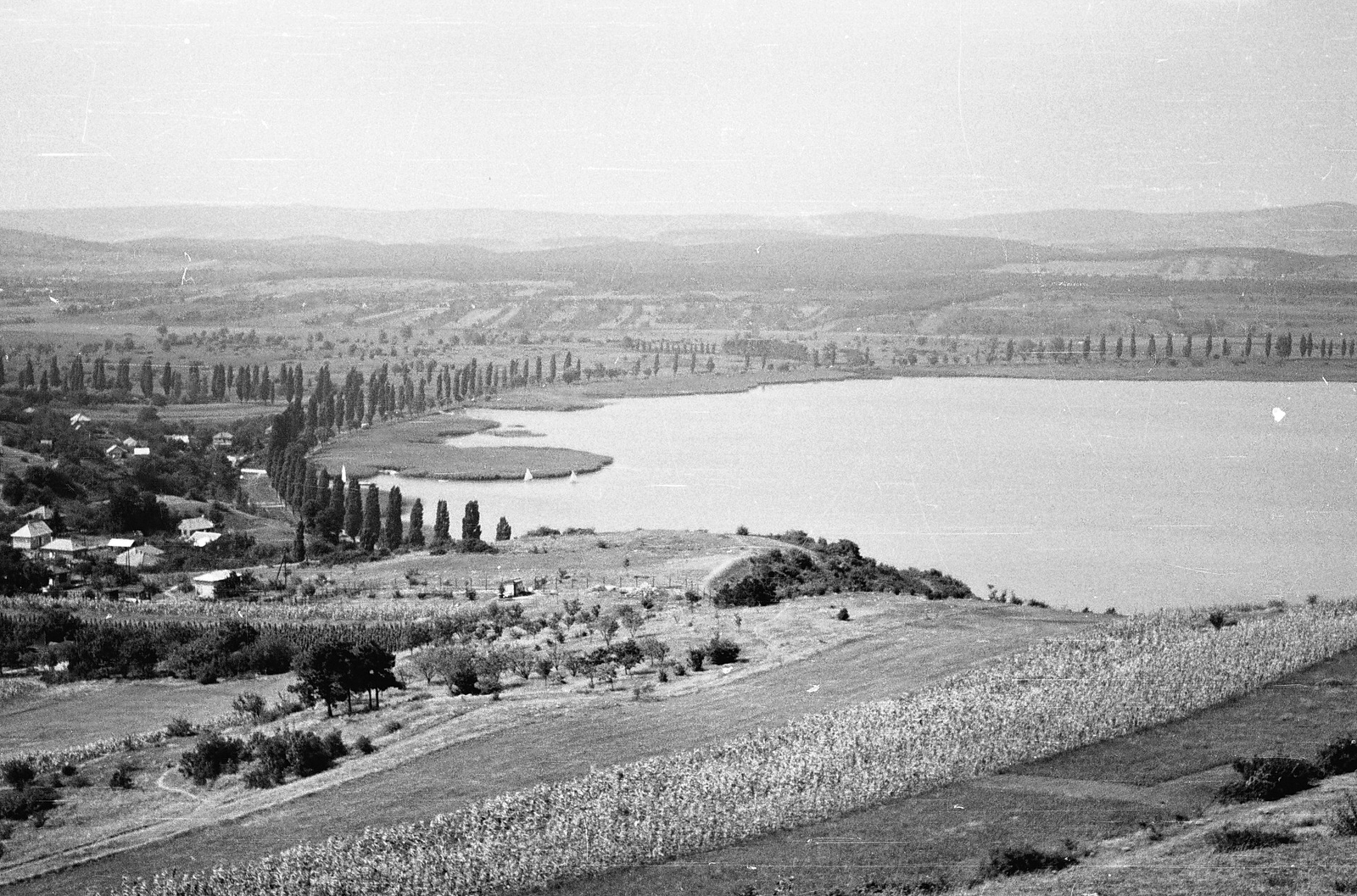 Hungary,Lake Balaton, Tihany, Diós, Lepke sor, háttérben a Füredi öböl., 1962, Tóth Károly dr, Fortepan #24870