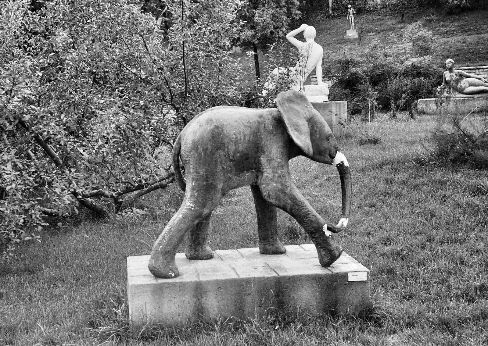 Magyarország, Szentendre, Ady Endre út, Szentendrei Parkmúzeum (szoborpark). Előtérben Miró Eszter Kiselefánt című szobrának másolata., 1968, Tóth Károly dr, elefánt, szoborpark, meztelen alak, Fortepan #24945