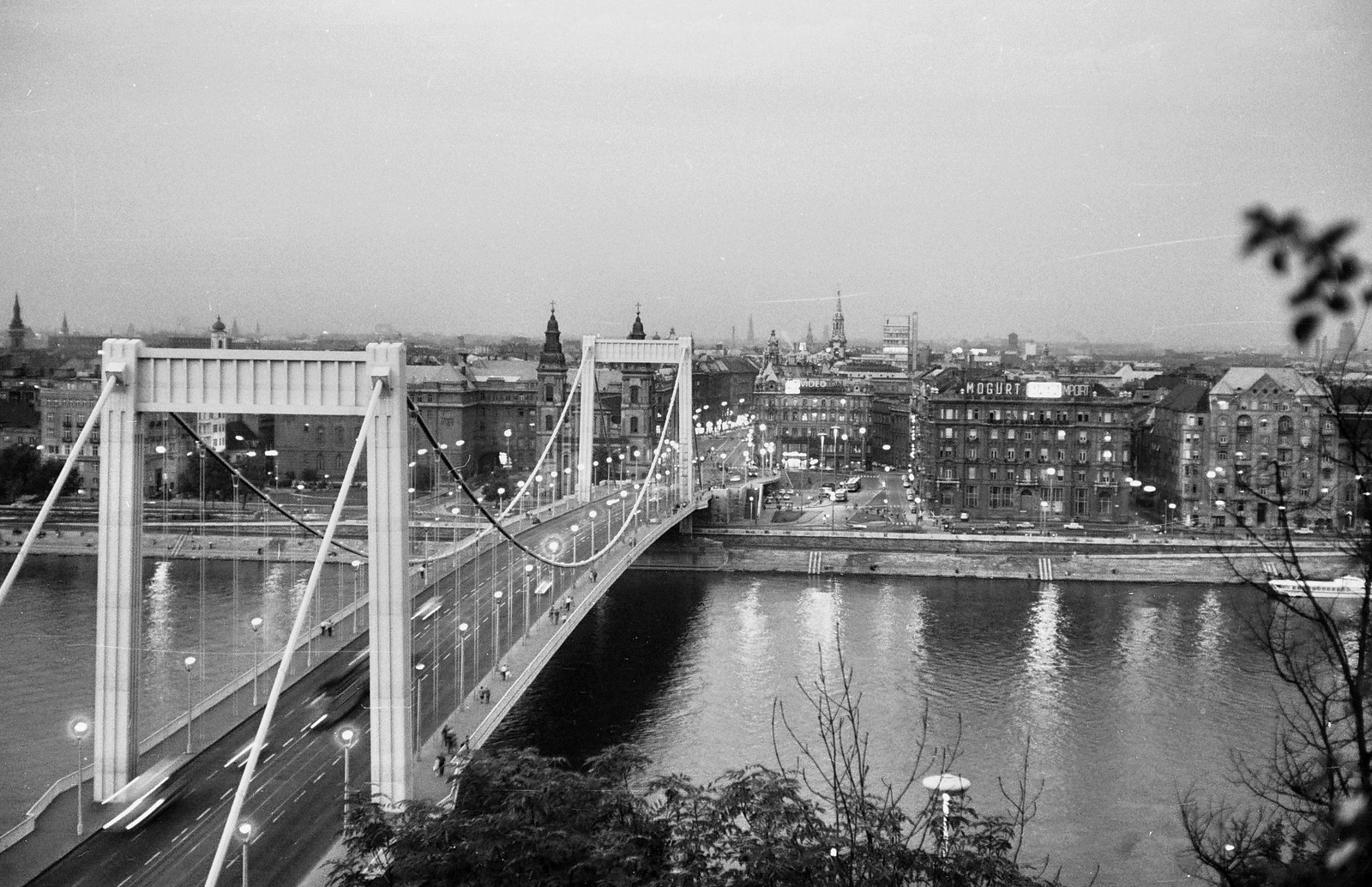 Magyarország, Budapest, Erzsébet híd a Gellérthegyről., 1969, Tóth Károly dr, híd, Duna-híd, Sávoly Pál-terv, Fortepan #24987