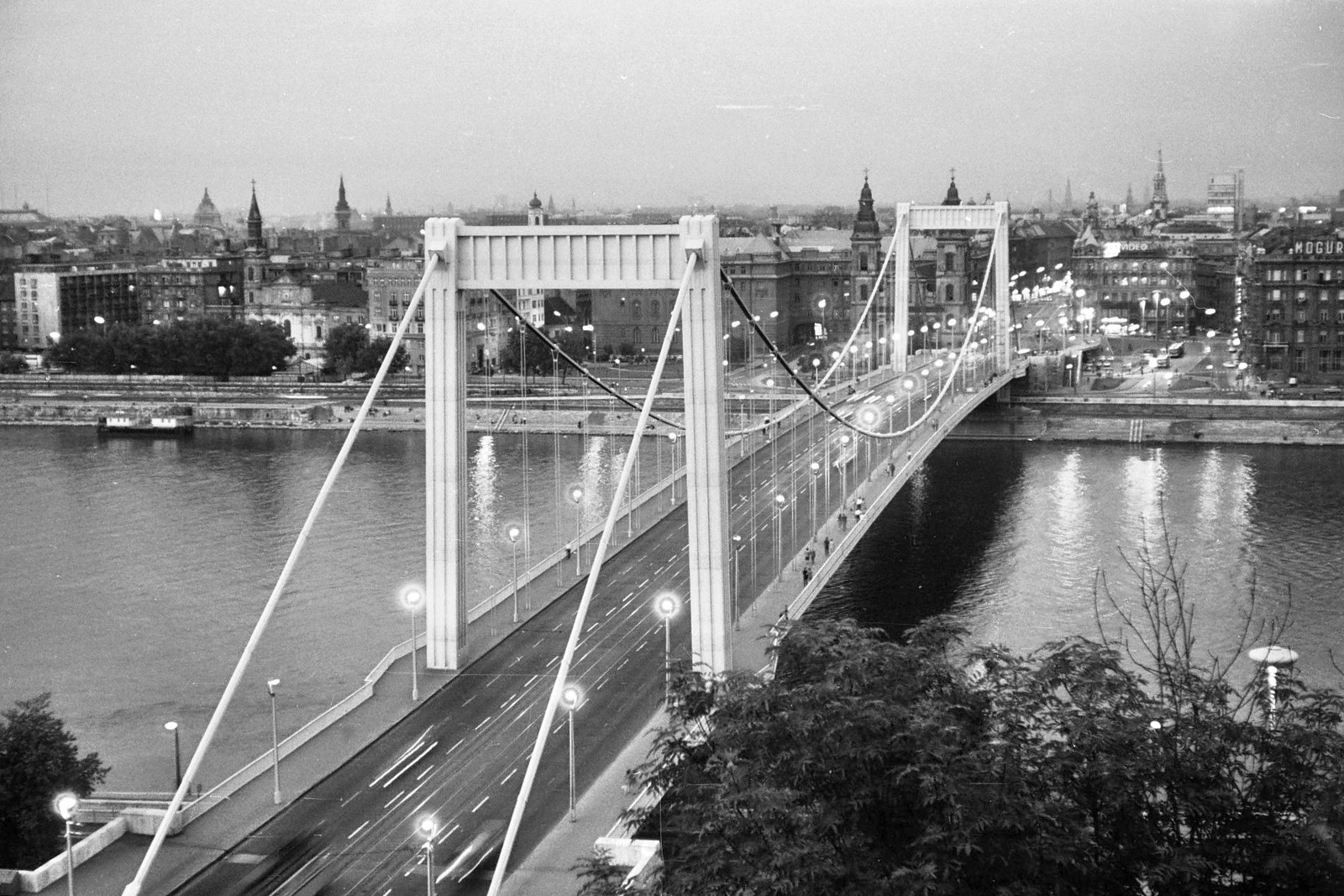 Magyarország, Budapest, Erzsébet híd a Gellérthegyről., 1969, Tóth Károly dr, híd, Duna-híd, Sávoly Pál-terv, Fortepan #24988