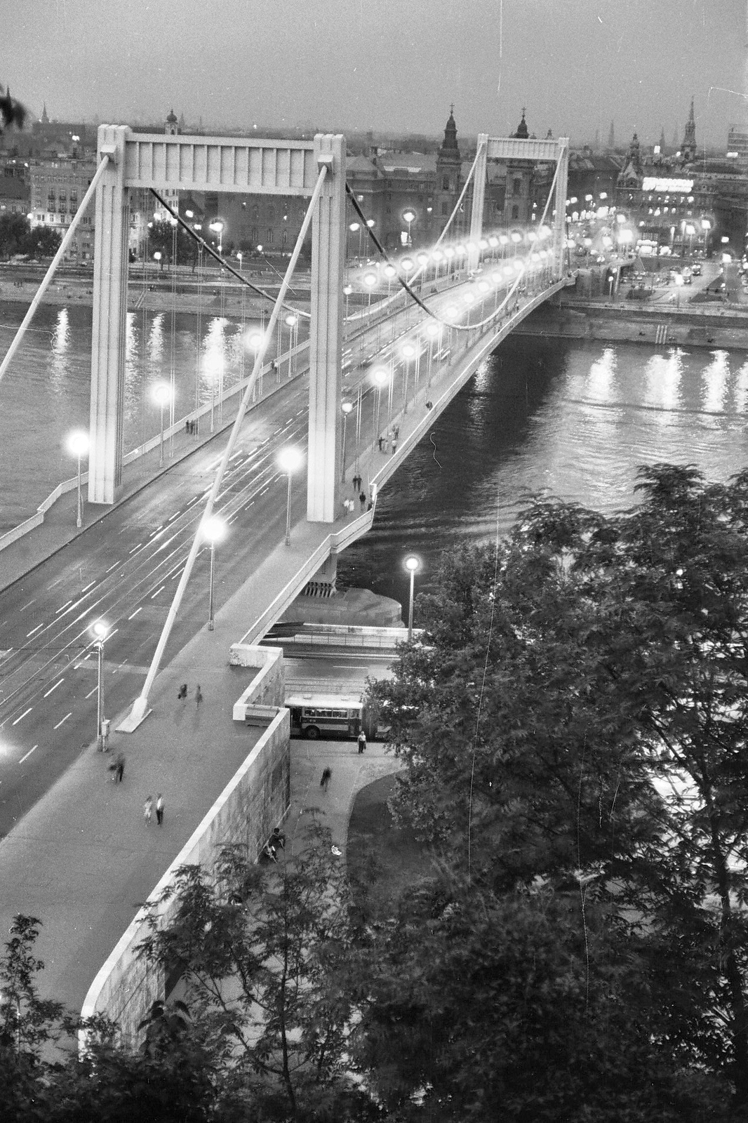 Magyarország, Budapest, Erzsébet híd a Gellérthegyről., 1969, Tóth Károly dr, híd, Duna-híd, Sávoly Pál-terv, Fortepan #24989