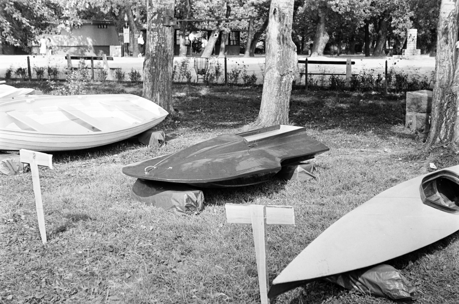 1960, N. Kósa Judit, boat, Fortepan #250031