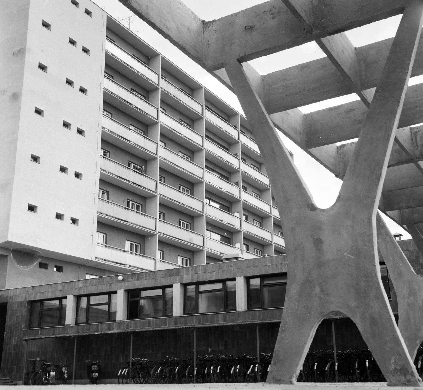 Hungary,Lake Balaton, Keszthely, Festetics György út 5., a Keszthelyi Agrártudományi Egyetem kollégiuma (később Magyar Agrár- és Élettudományi Egyetem Georgikon Campus Pethe Ferenc Kollégium)., 1965, Vimola Károly, Fortepan #250252