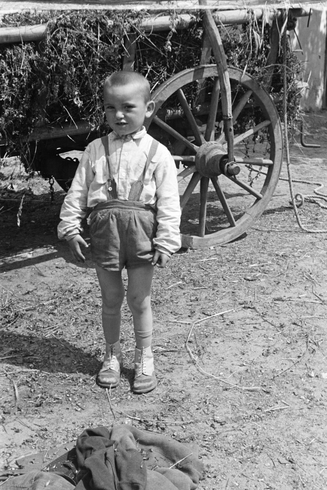 1959, Vimola Károly, boy, shorts, Horse-drawn carriage, Fortepan #250588