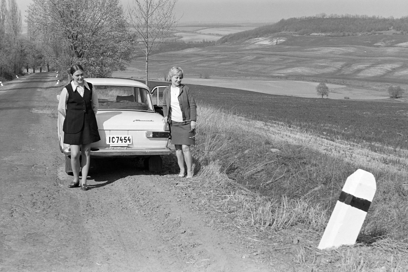 1972, Vimola Károly, number plate, Fortepan #250604