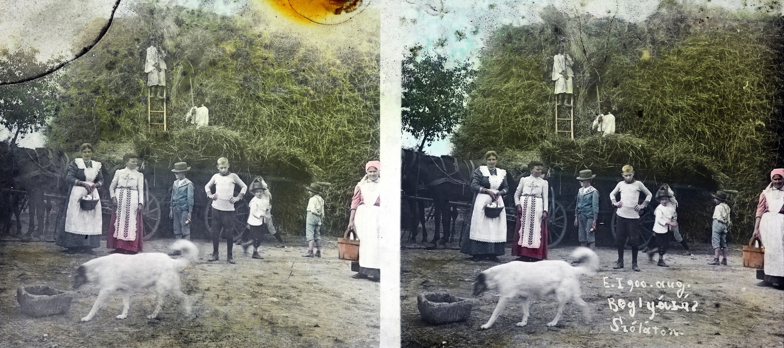 Hungary, 1900, Vincent Till Baumgartner, dog, horse, stack, kid, servant, stereophoto, colored picture, Fortepan #250621