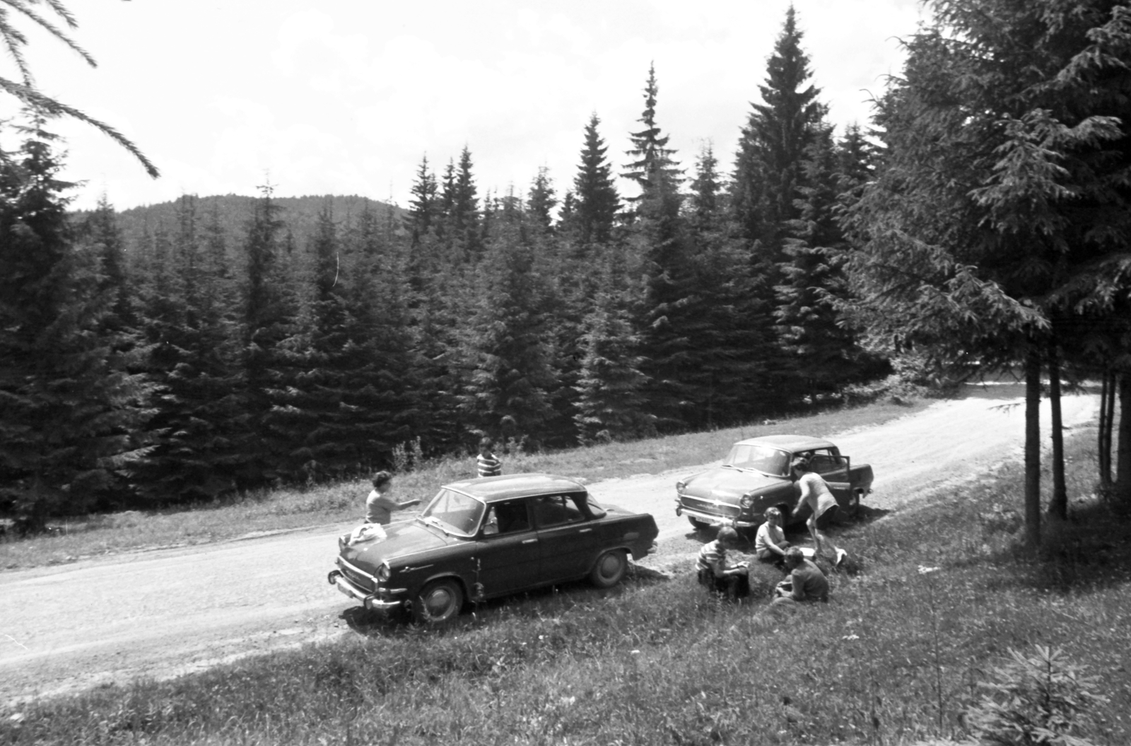 1968, Nagy József, erdő, csehszlovák gyártmány, Skoda-márka, Skoda 1000 MB, utas, Fortepan #25079