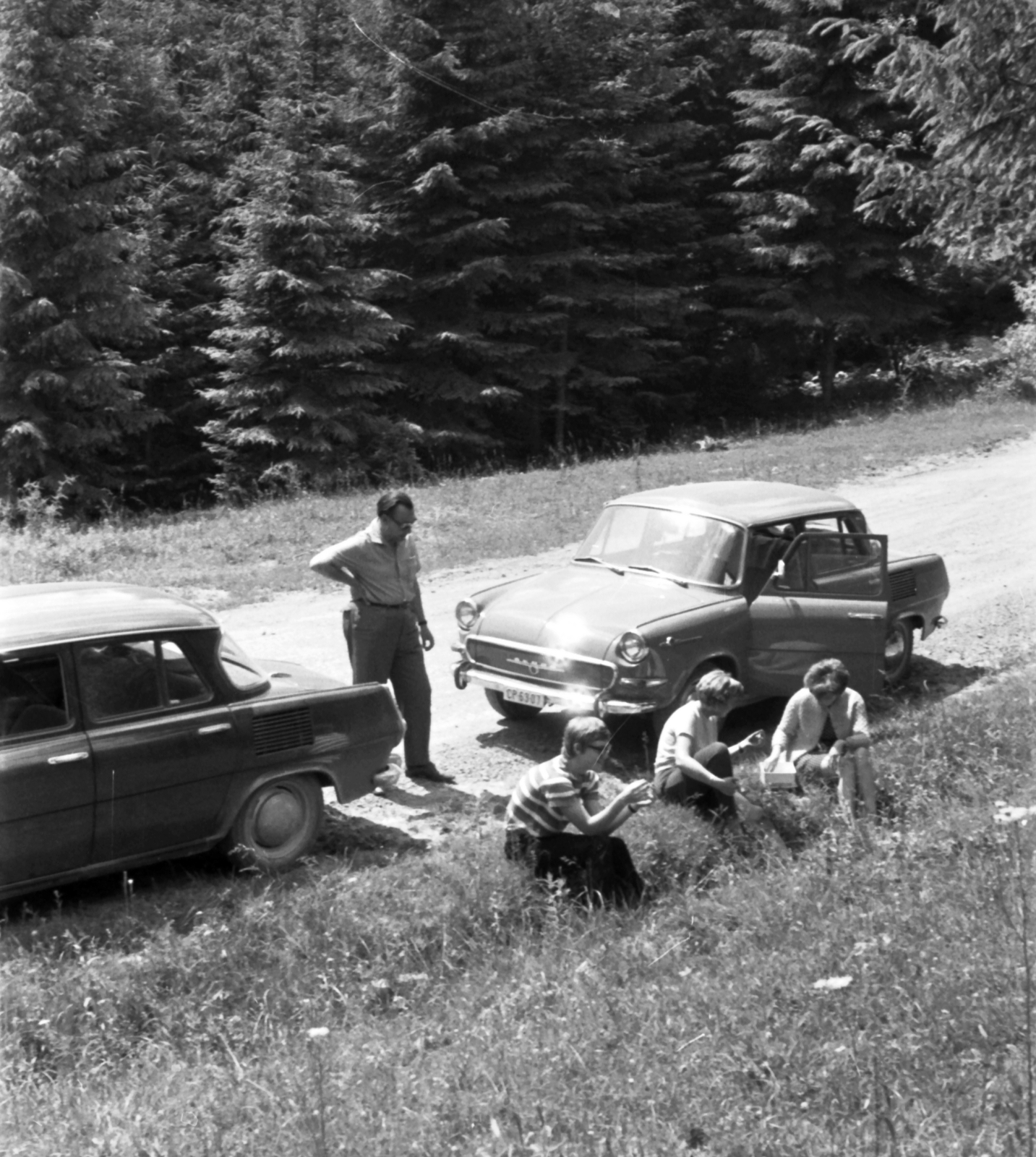 1968, Nagy József, Skoda-márka, Skoda 1000 MB, erdő, Fortepan #25081
