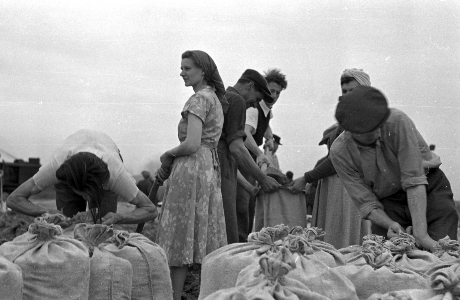 Magyarország, Budapest XI., árvízi védekezés, homokzsákok töltése a Hunyadi Jánosút az Árasztó utca között területen., 1954, FŐMTERV, Domonkos Endre, Budapest, homokzsák, Fortepan #251005