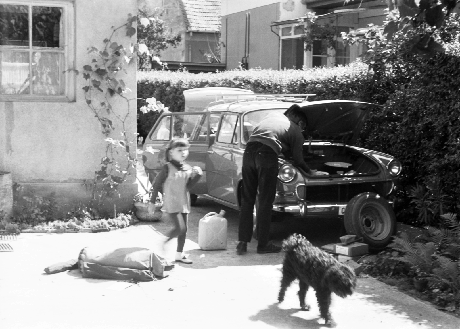 1970, Nagy József, dog, yard, Skoda-brand, girl, man, can, spare wheel, Fortepan #25111