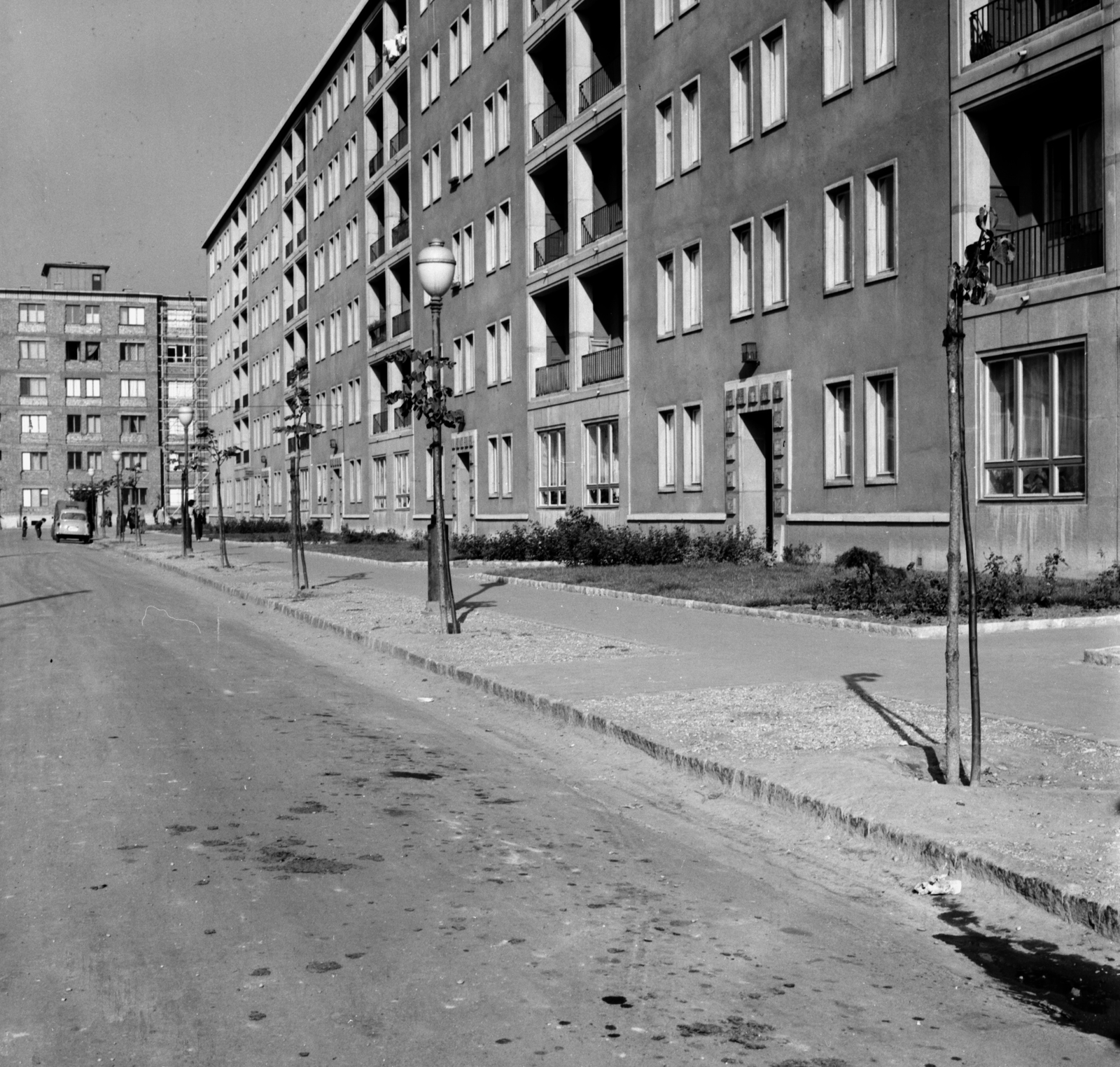 Hungary, Budapest XI., Bölcső utca, a Hamzsabégi úttól a Baranyai utca felé nézve., 1959, FŐMTERV, Budapest, blocks, street view, sapling, Fortepan #251165
