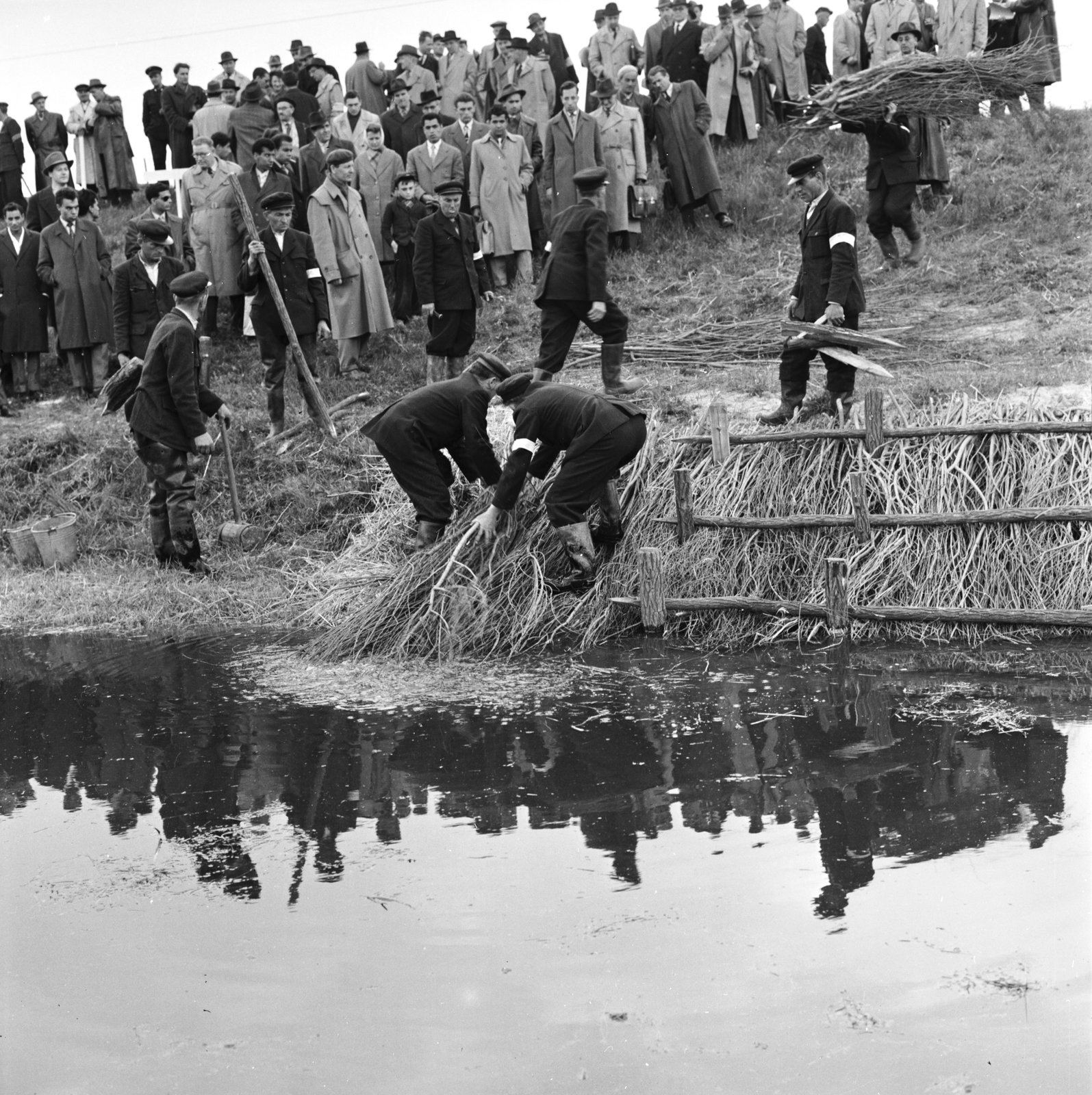 1960, FŐMTERV, Domonkos Endre, bámészkodás, folyópart, Fortepan #251264