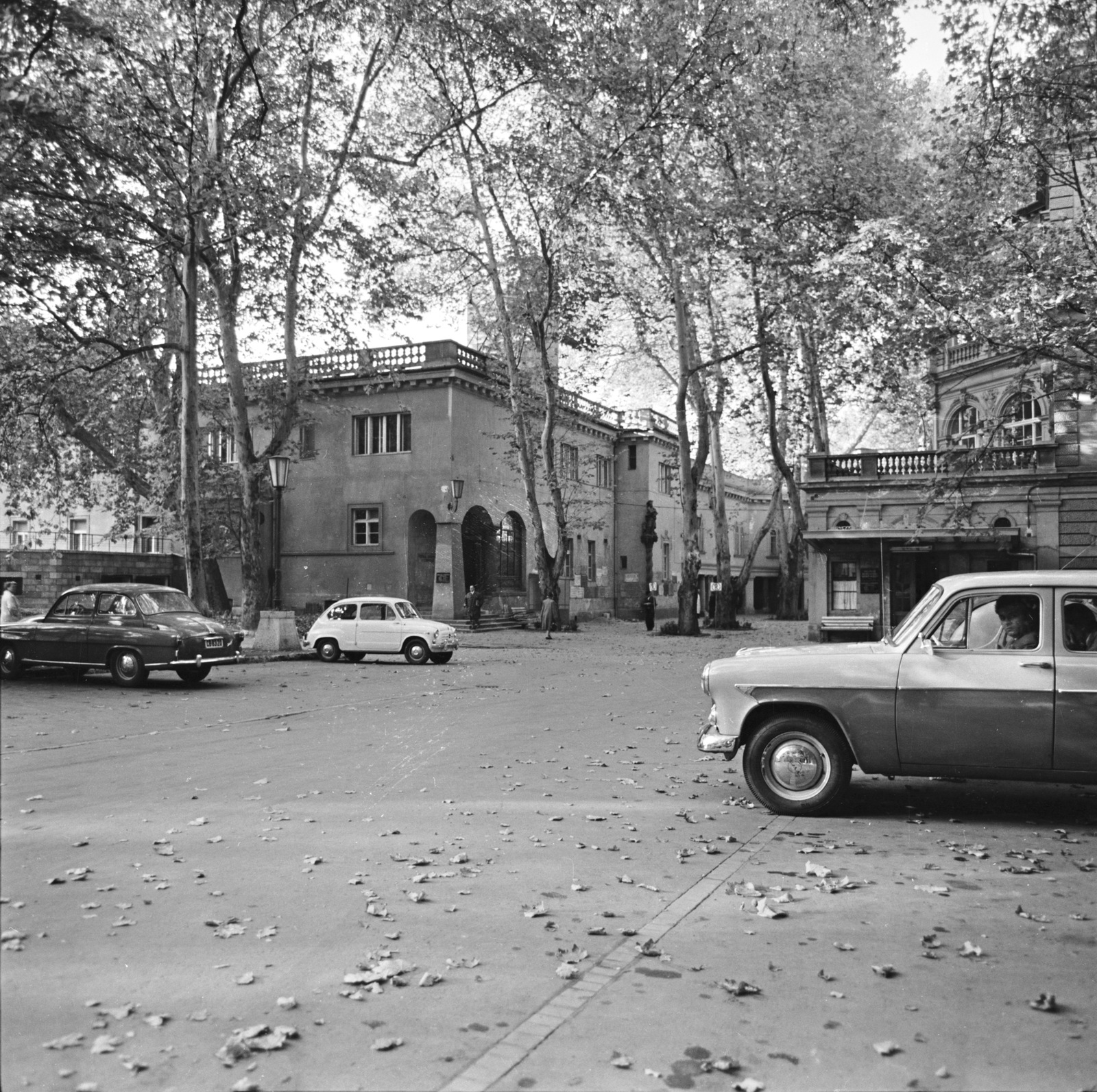 Hungary, Budapest II., Frankel Leó út 25-29., a Lukács Gyógyfürdő parkja., 1963, FŐMTERV, Budapest, Fortepan #251905