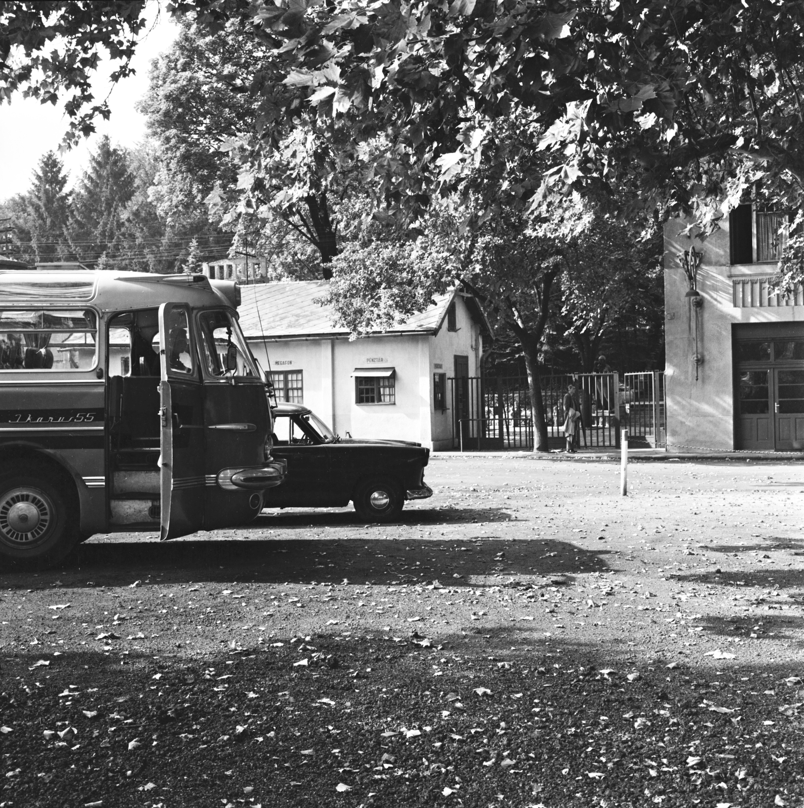 Hungary, Budapest III., Pusztakúti út, parkoló a Csillaghegyi strandfürdő bejáratával szemben., 1963, FŐMTERV, bus, Ikarus-brand, Budapest, Fortepan #251973