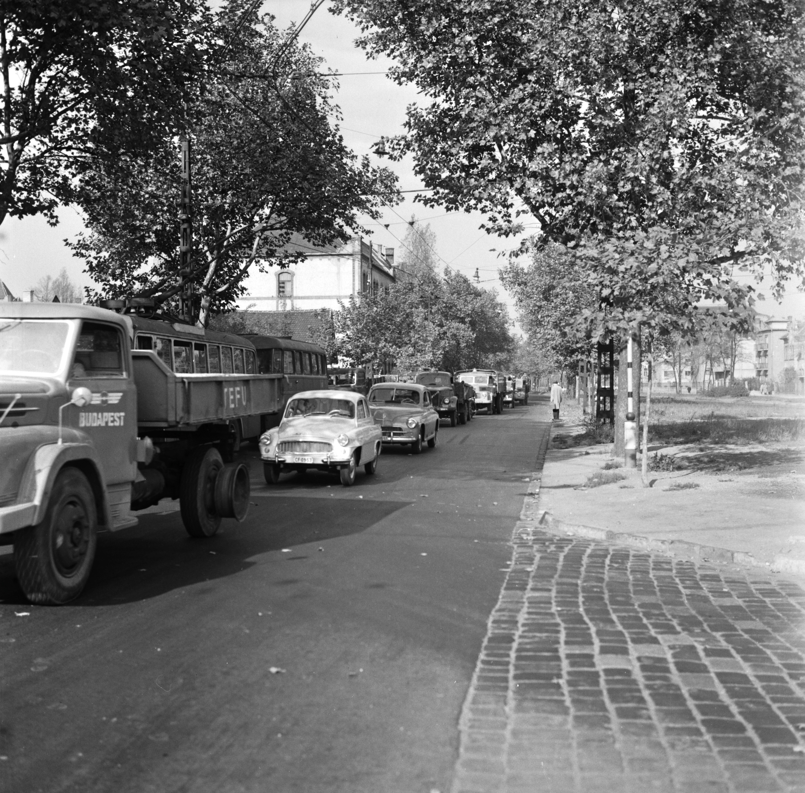Hungary, Budapest XIV., Hungária körút a Thököly úttól az Ida utca felé nézve, balra a Vakok Állami Intézete., 1963, FŐMTERV, number plate, Budapest, Fortepan #252066