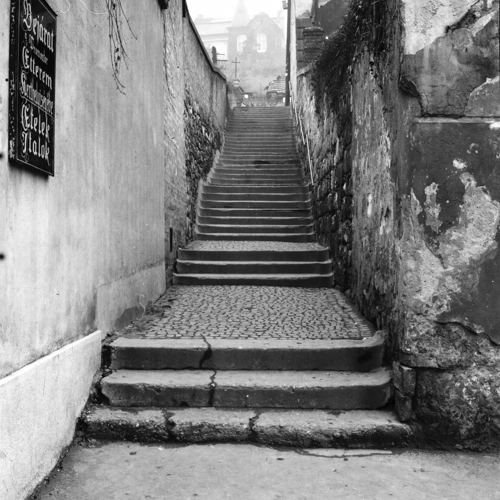 Hungary, Budapest XXII., Budafok, Seidl lépcső a Magdolna utcánál - Hosszúhegy utca között., 1966, FŐMTERV, Budapest, Fortepan #252338