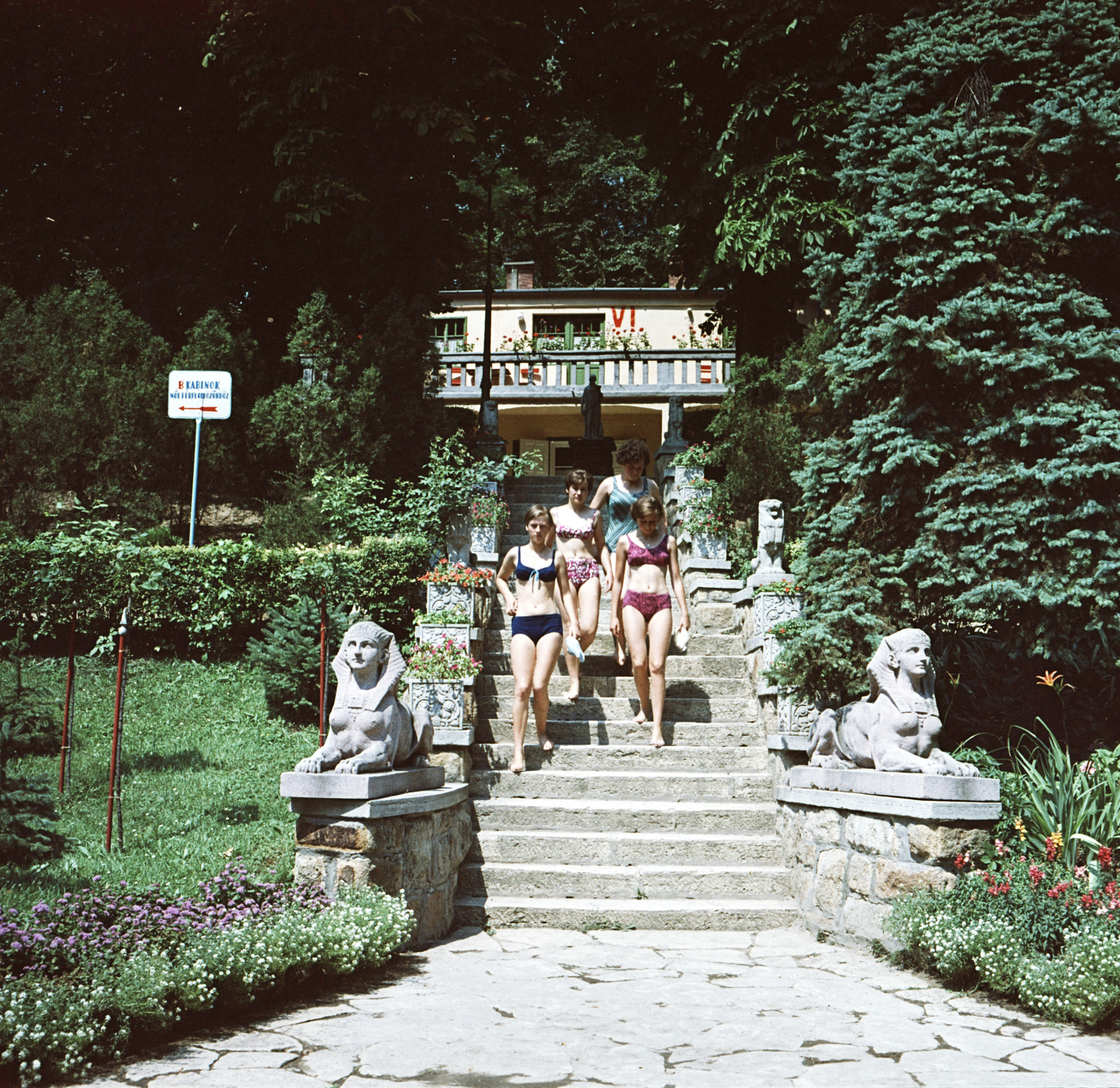 Magyarország, Budapest III., Csillaghegyi strandfürdő., 1967, FŐMTERV, Domonkos Endre, Budapest, Fortepan #252376