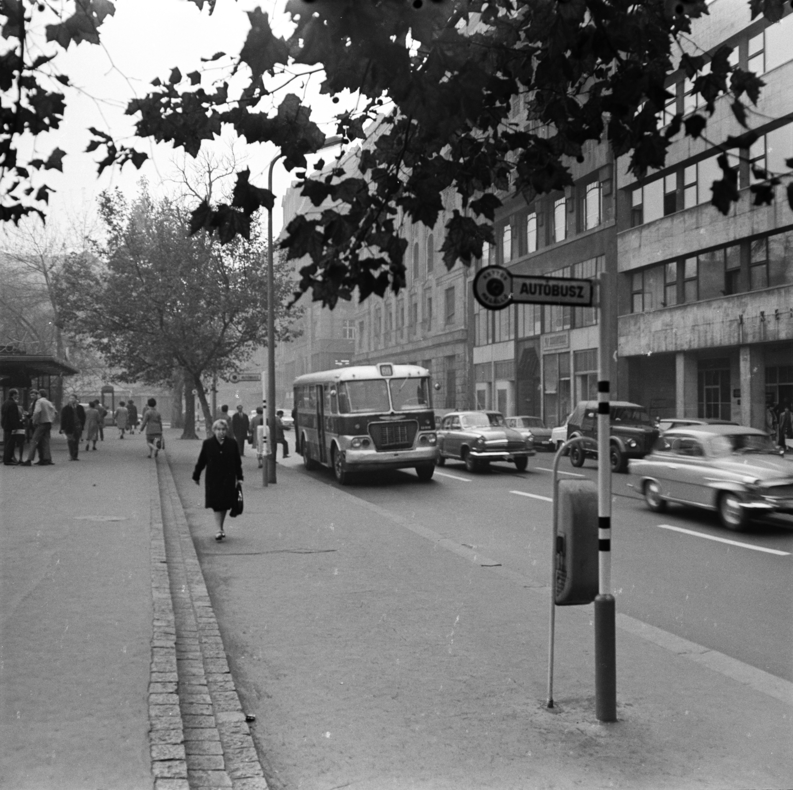 Hungary, Budapest V., Erzsébet (Engels) tér, buszmegálló, jobbra a Kerületi Tanács (később Polgármesteri Hivatal) épülete., 1969, FŐMTERV, Budapest, Fortepan #252664
