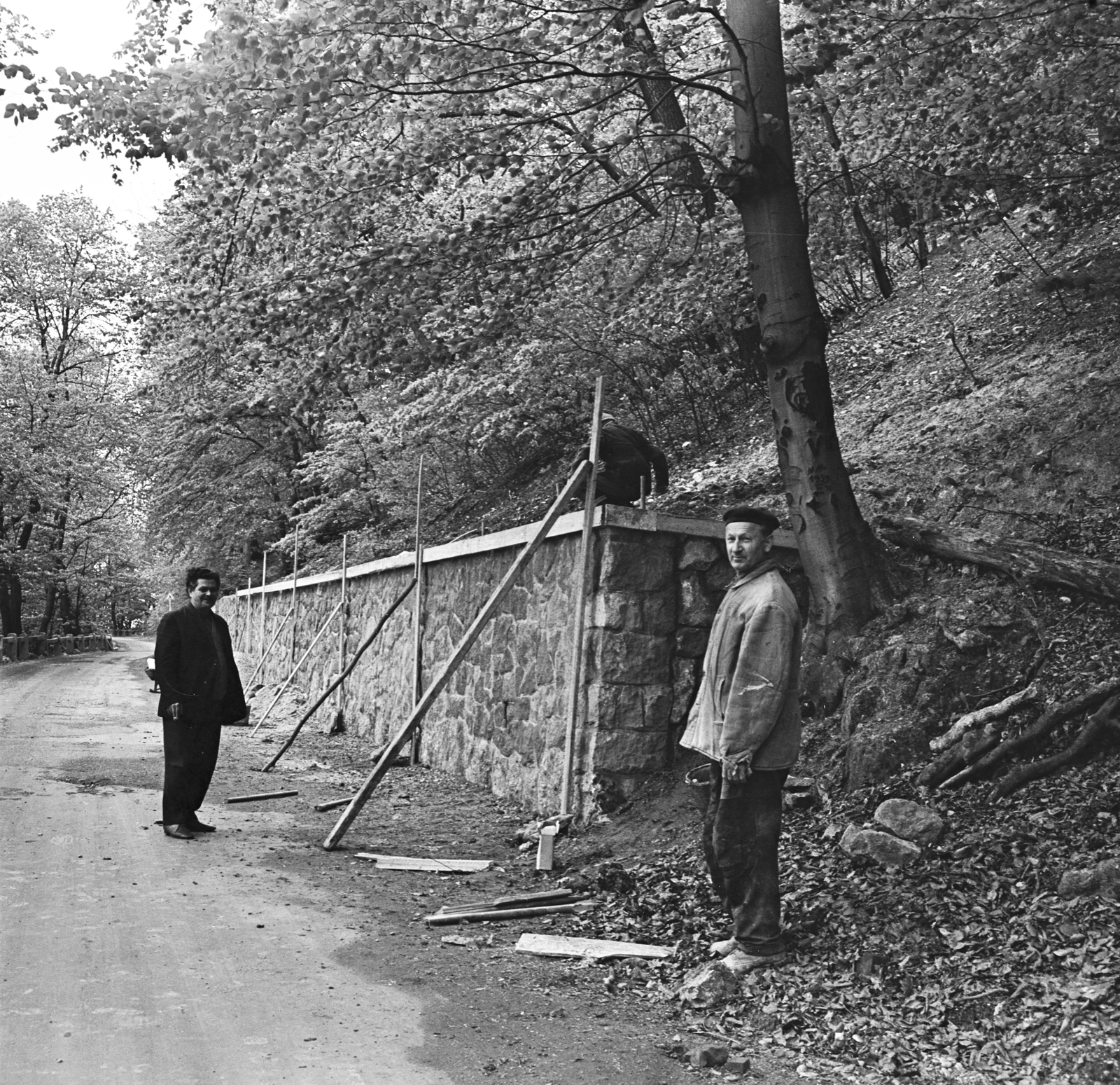 1972, FŐMTERV, Fortepan #253153