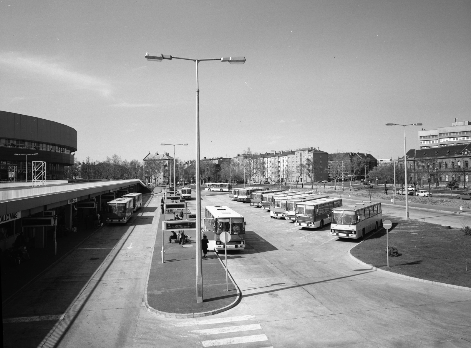 Magyarország, Budapest XIV., Hungária körút, Népstadion autóbusz-pályaudvar. Balra a Budapest Sportcsarnok., 1982, FŐMTERV, Domonkos Endre, Budapest, autóbusz, Ikarus-márka, Ikarus 256, Fortepan #253935