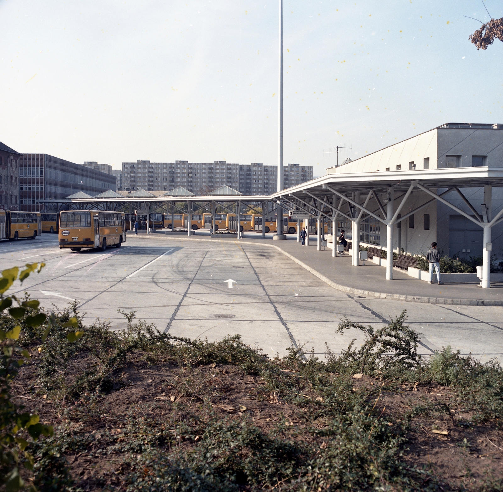 Magyarország, Budapest XIII., autóbusz-végállomás az Árpád híd pesti hídfőjénél, háttérben a Párkány utca panelházai., 1988, FŐMTERV, Domonkos Endre, színes, autóbusz, Budapest, Ikarus-márka, Ikarus 260, Ikarus 280, Fortepan #253967