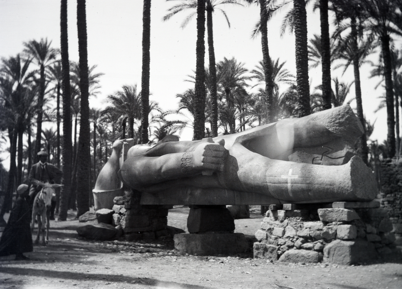 Egypt, II. Ramszesz ledőlt szobra helyreállítás közben, Memphis közelében. Később a Nagy Egyiptomi Múzeumba került., 1913, Kriszt Béla, sculpture, mule, palm tree, Fortepan #254016