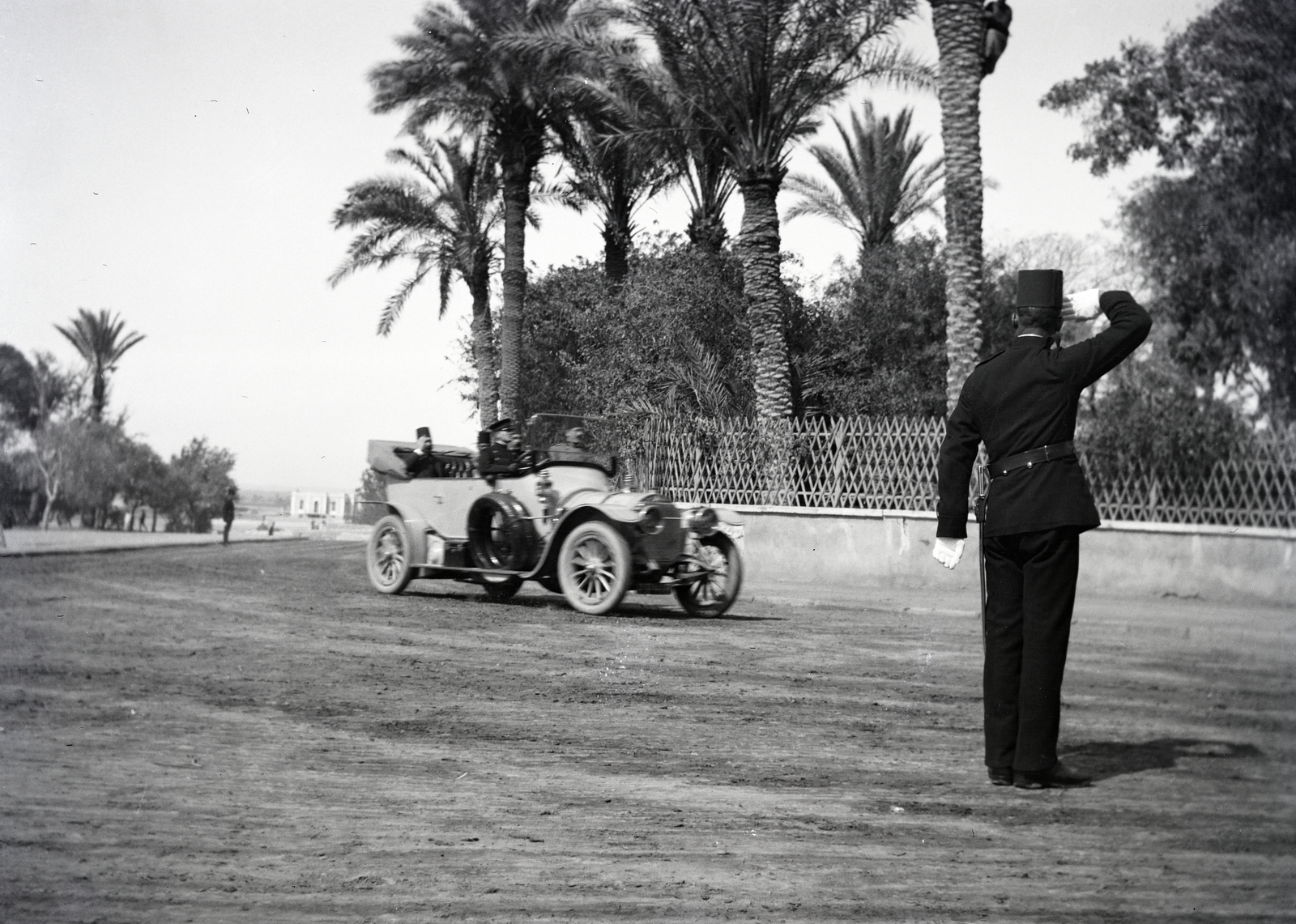 1913, Kriszt Béla, automobil, pálmafa, tisztelgés, egyenruha, Fortepan #254038