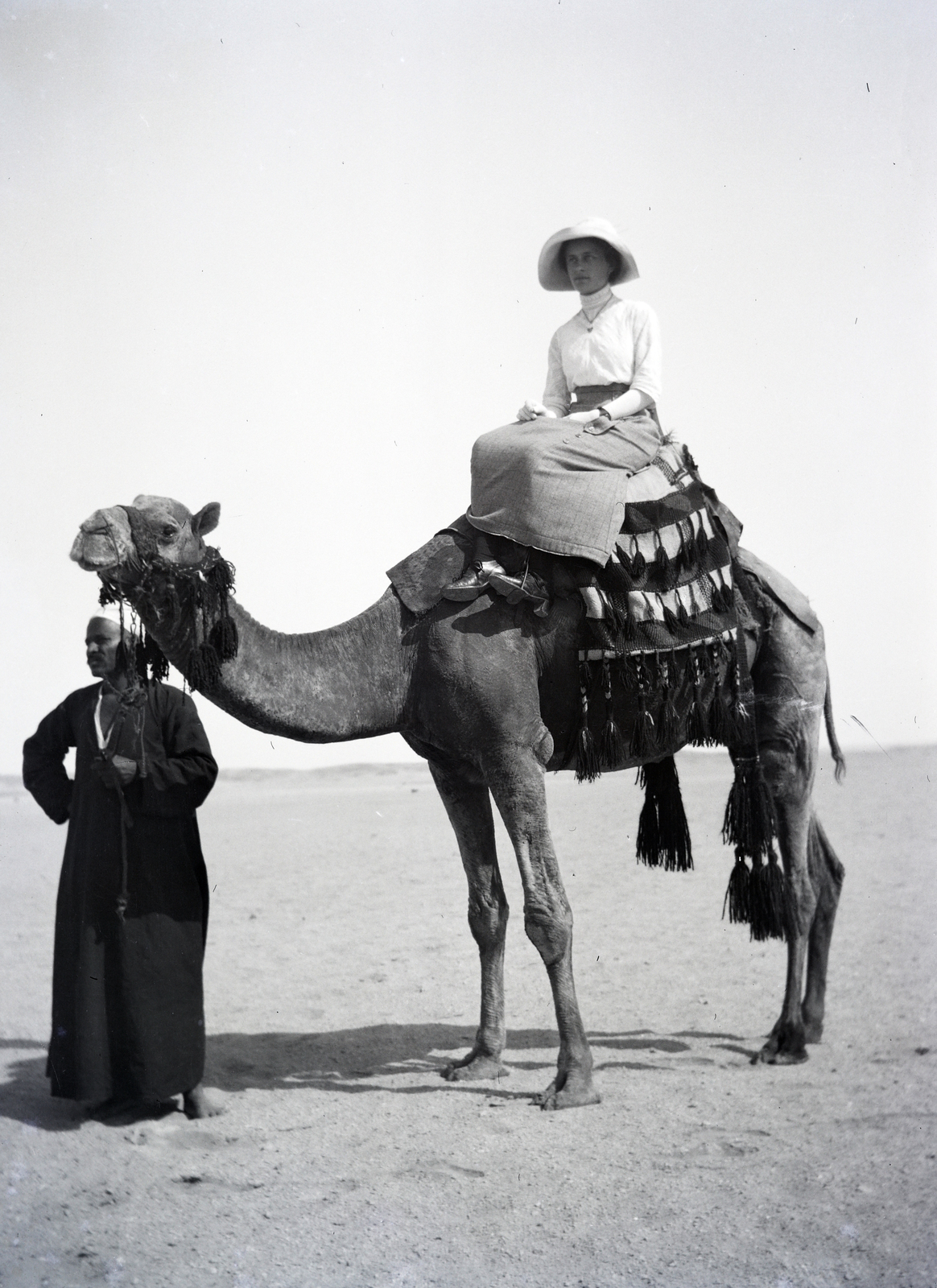 1913, Kriszt Béla, camel, desert, Fortepan #254073